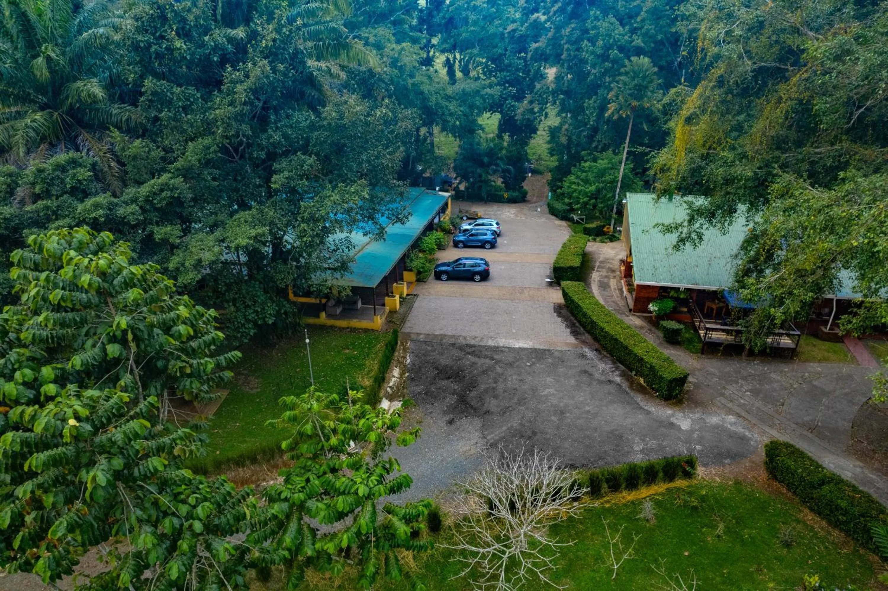 Parking in Hotel Villa Florencia