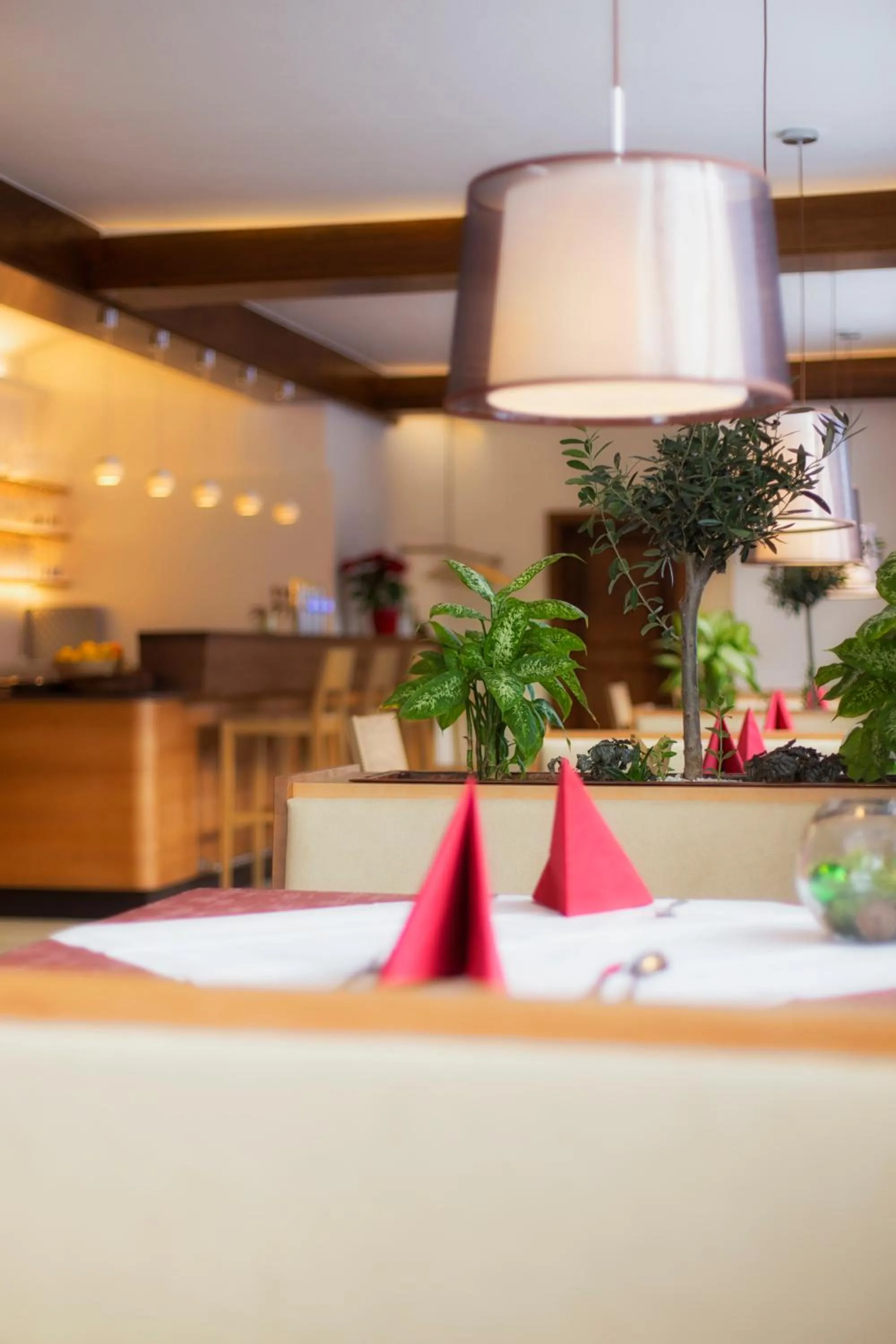 Restaurant/places to eat in Belvedere