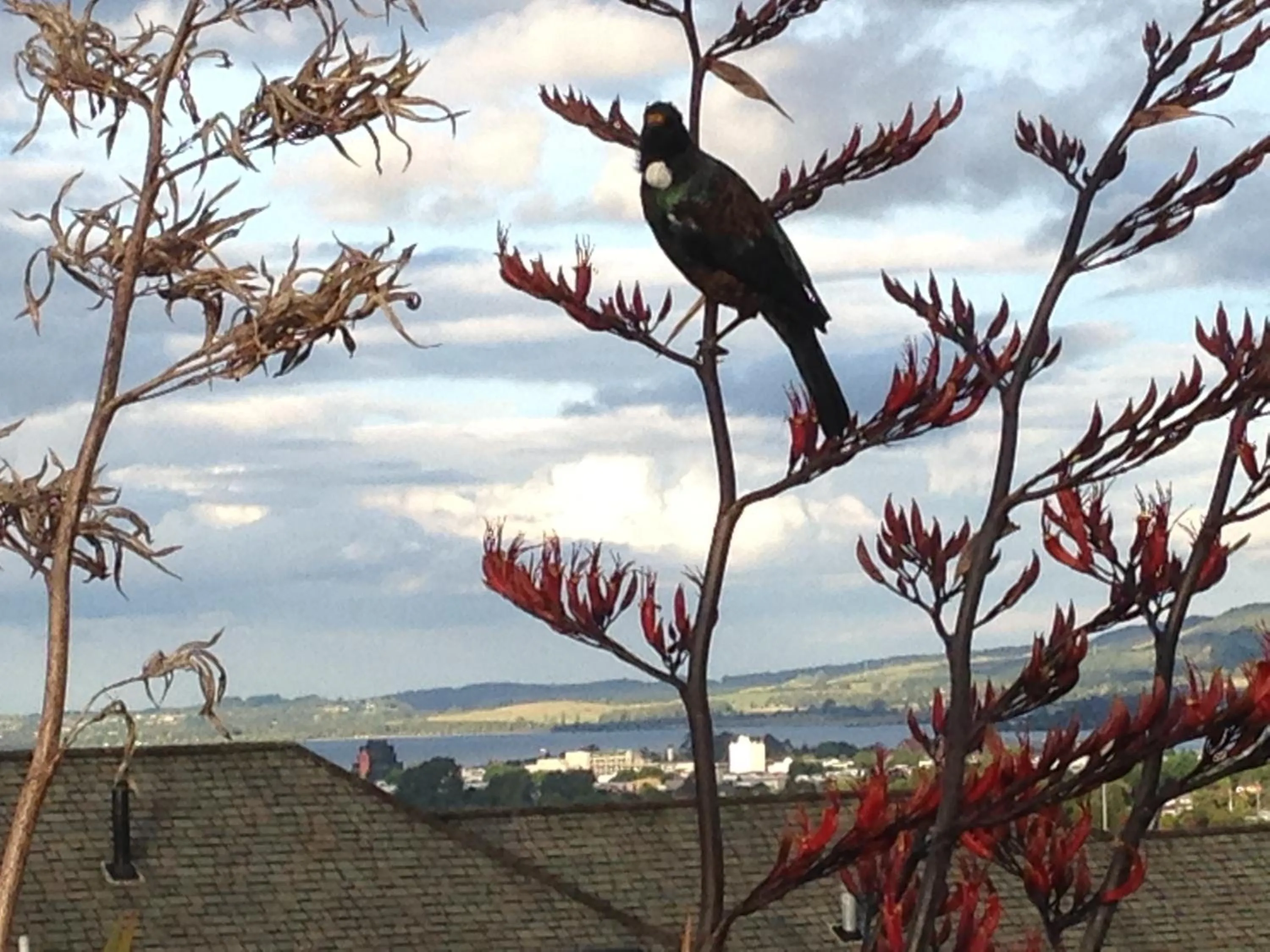 Natural landscape in KARANDA BnB