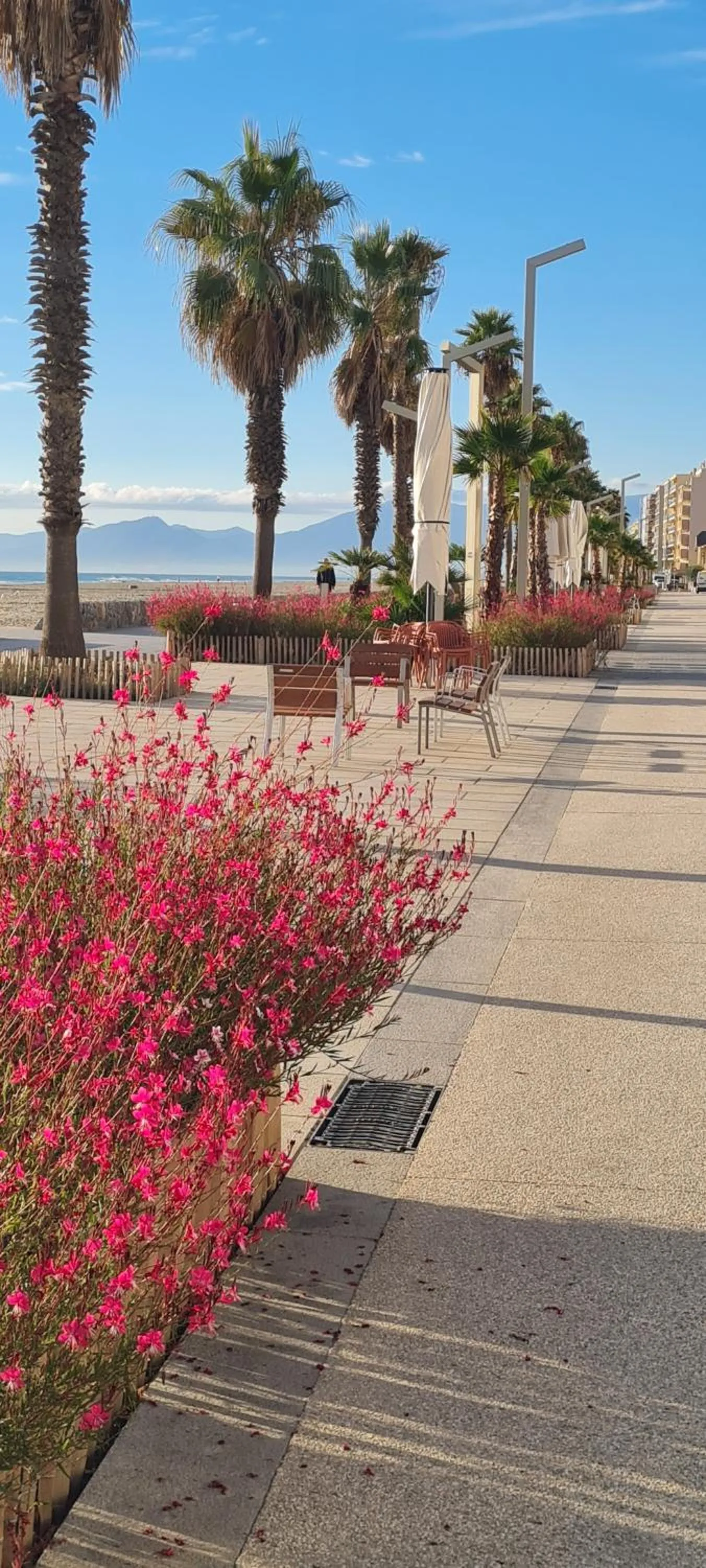 Neighbourhood in Hotel Saint Georges, Face à la mer