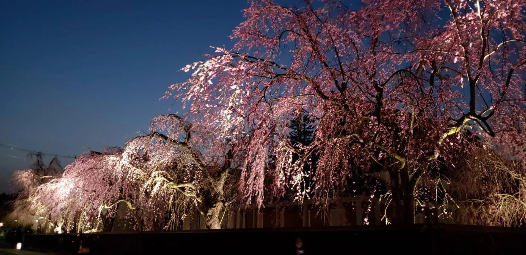 Natural landscape in Kakunodate Guesthouse Fuga