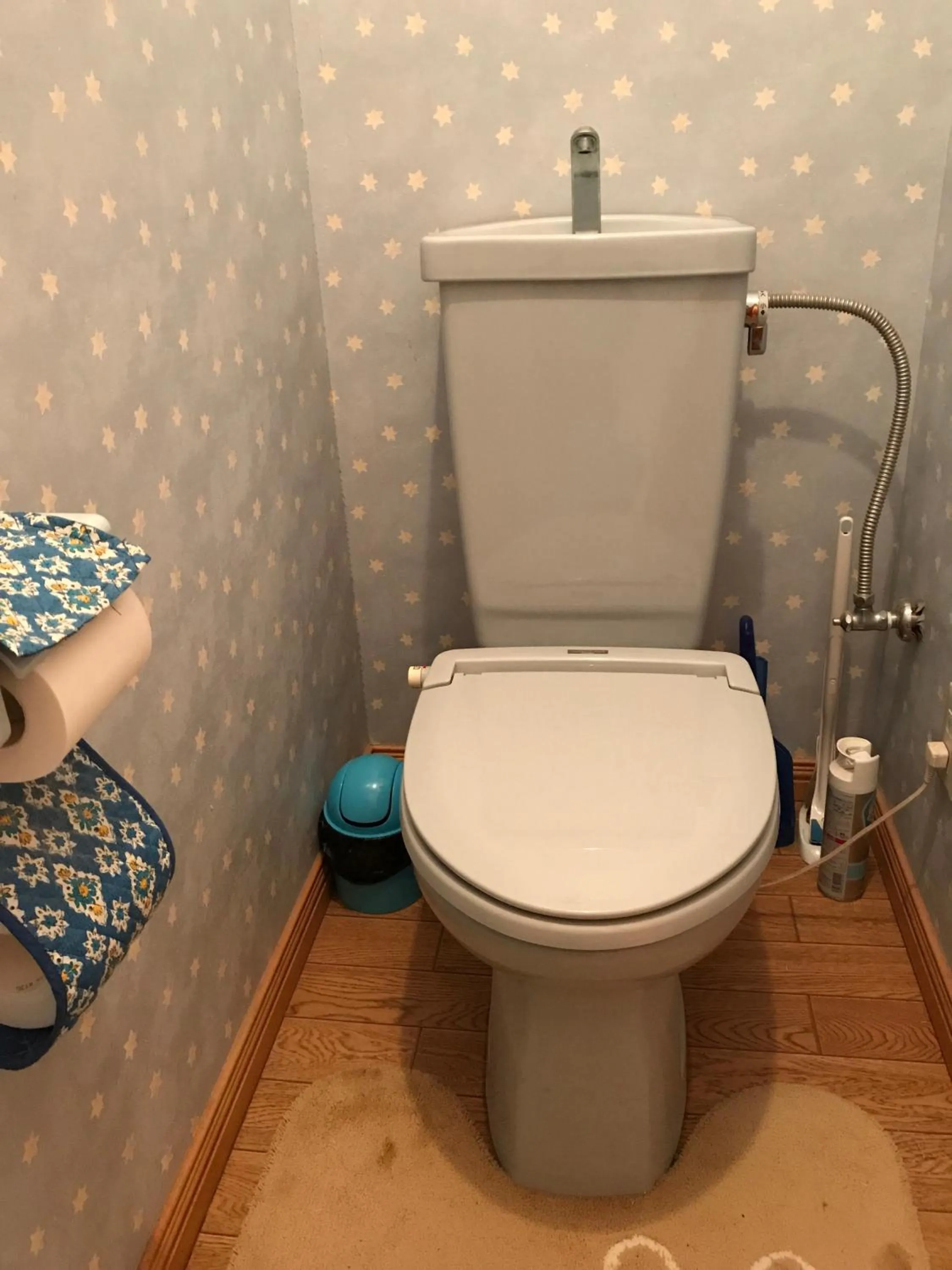 Toilet in Kakunodate Guesthouse Fuga