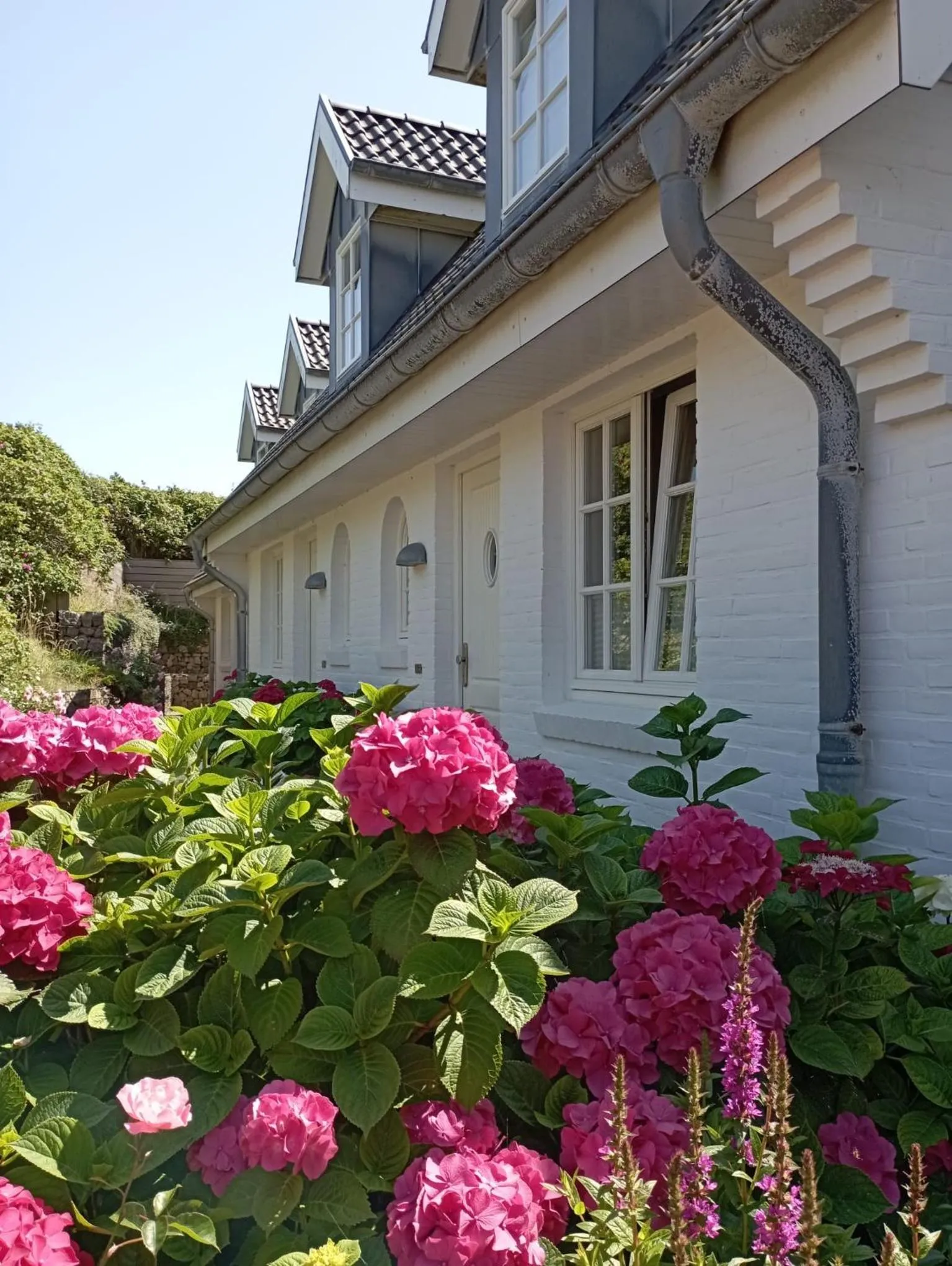 Property building in ApartHotel Seepferdchen