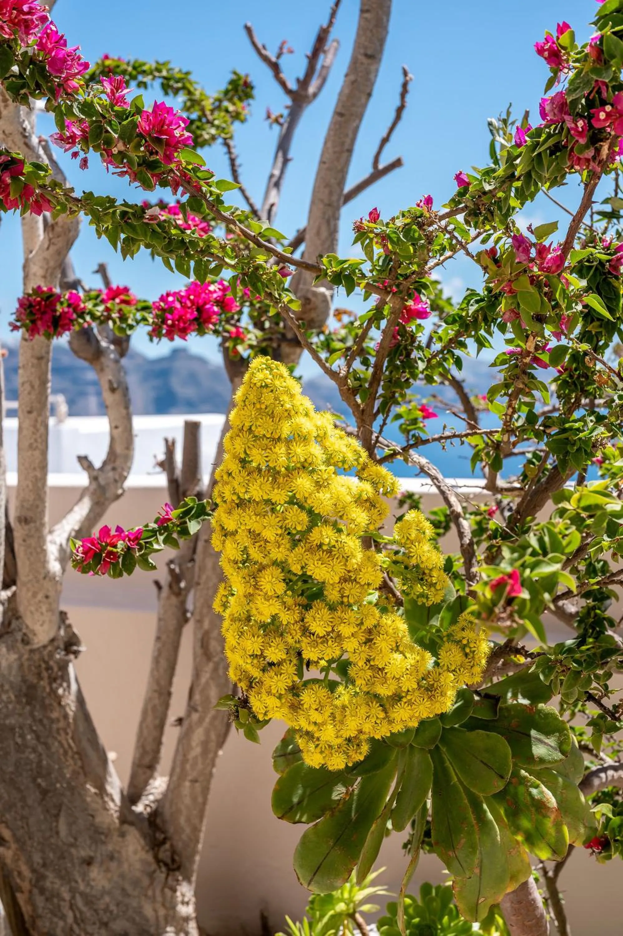 Natural landscape in Passion Blue Villas