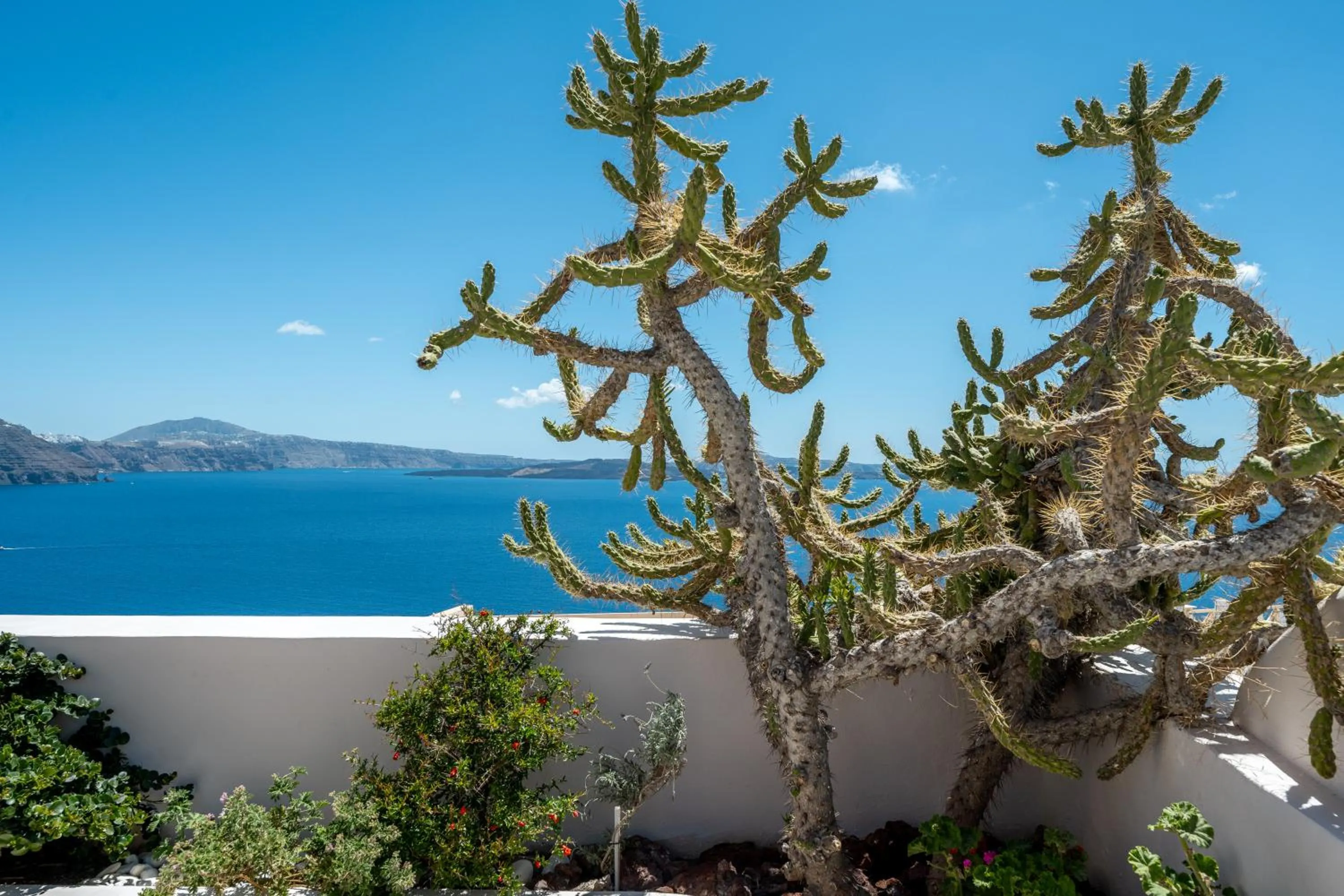 Day in Passion Blue Villas