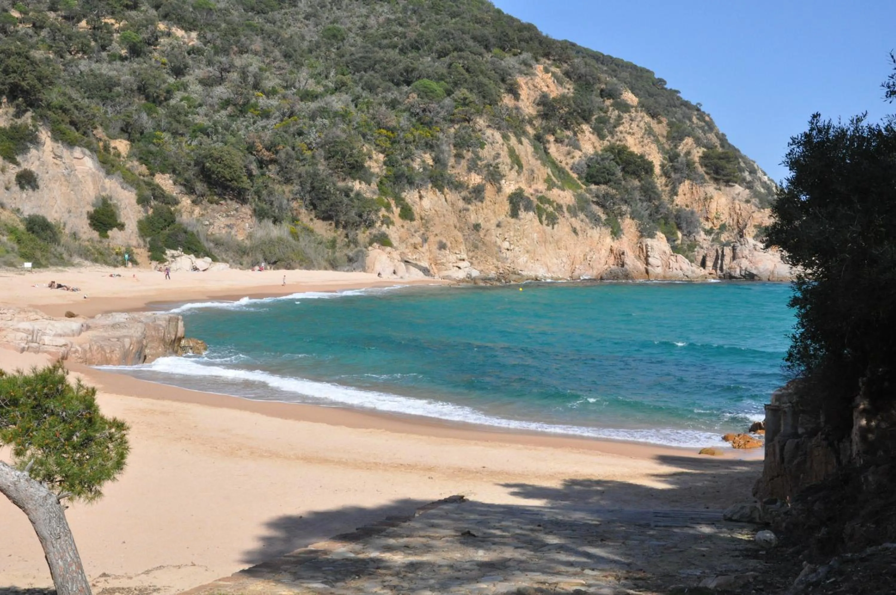 Beach in Hapimag Resort Mas Nou