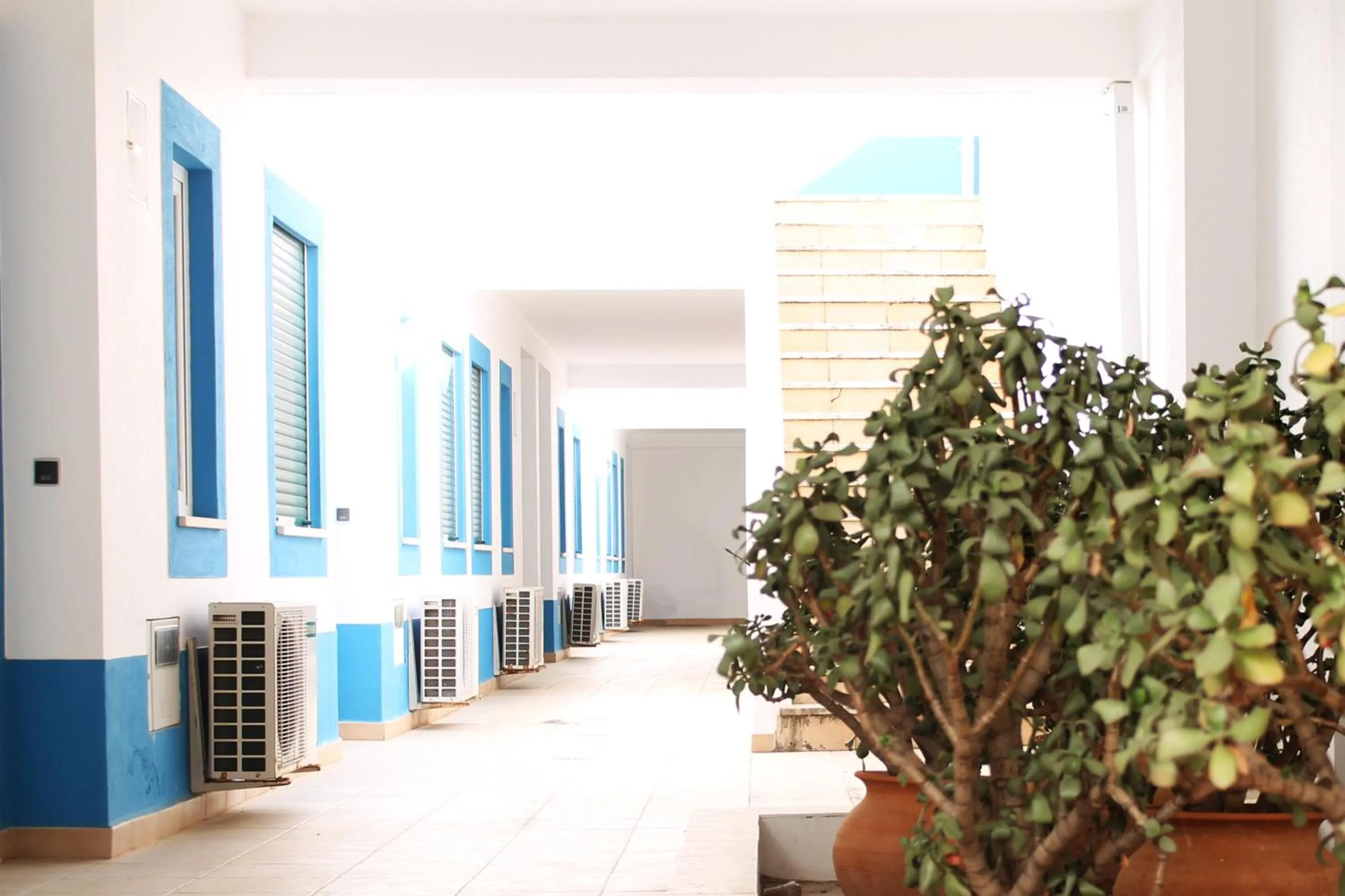 Facade/entrance in Oasis Beach Apartments