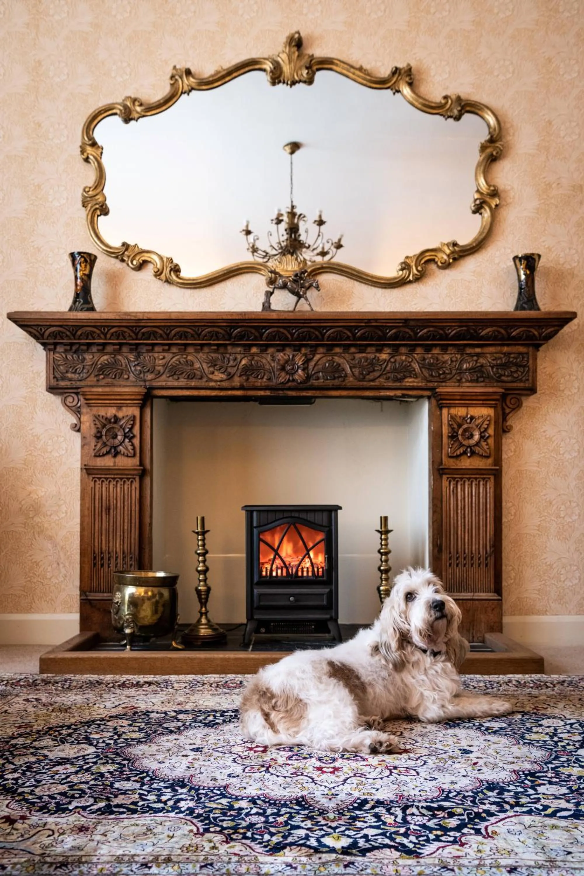 Pets in Luttrell Arms