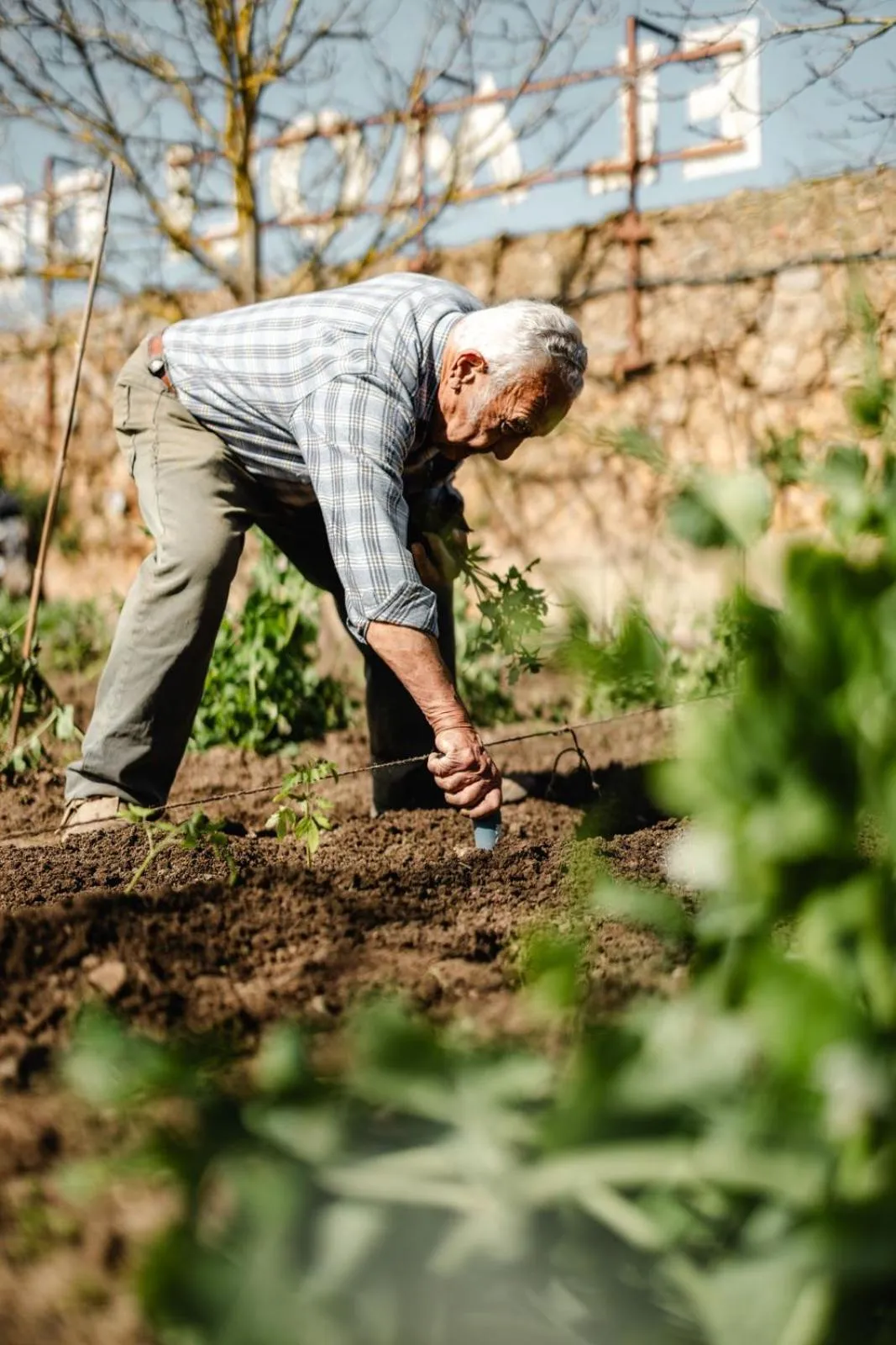 Garden in Hotel Molí de l'Escala