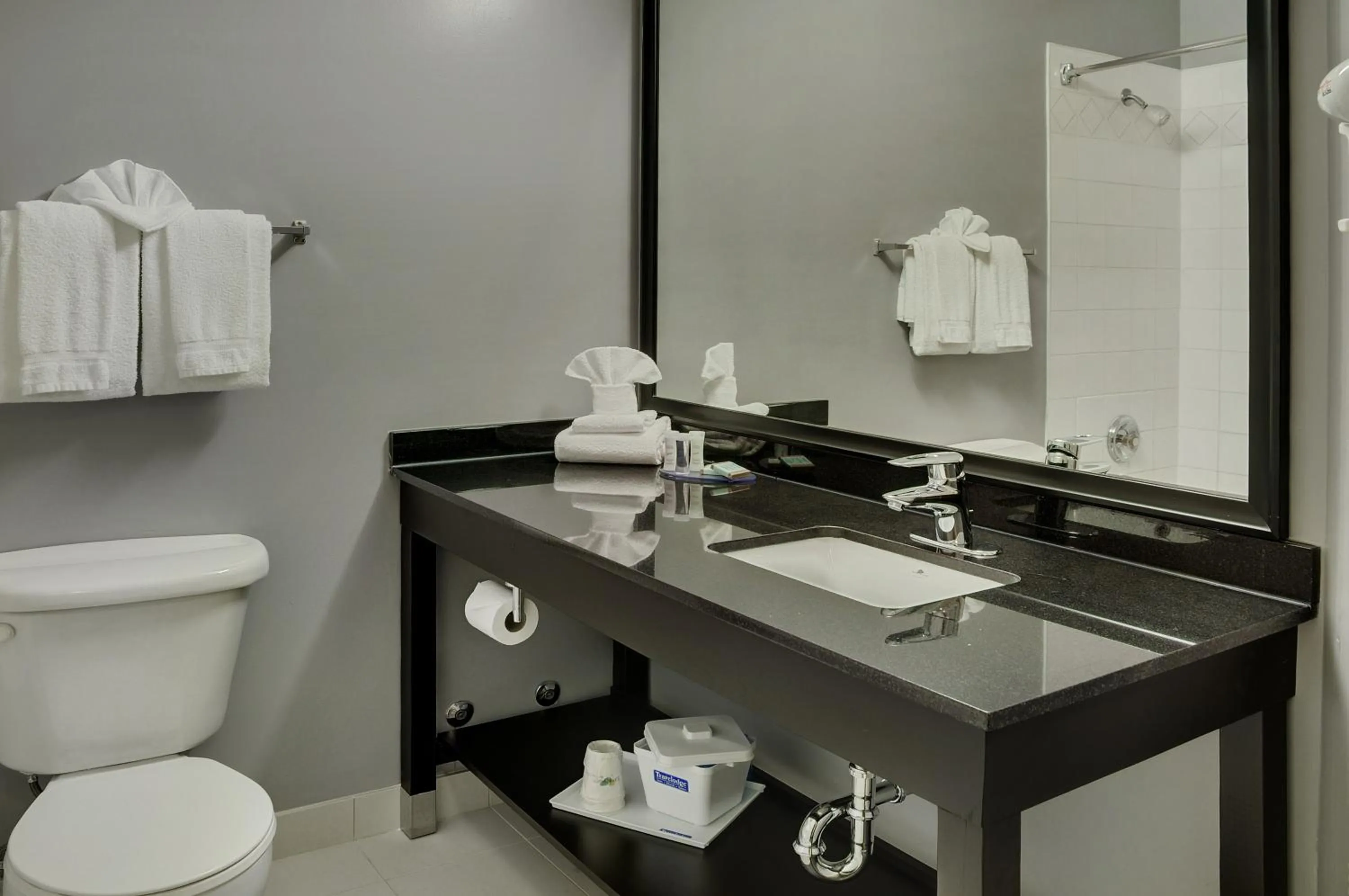 Bathroom in Quality Inn