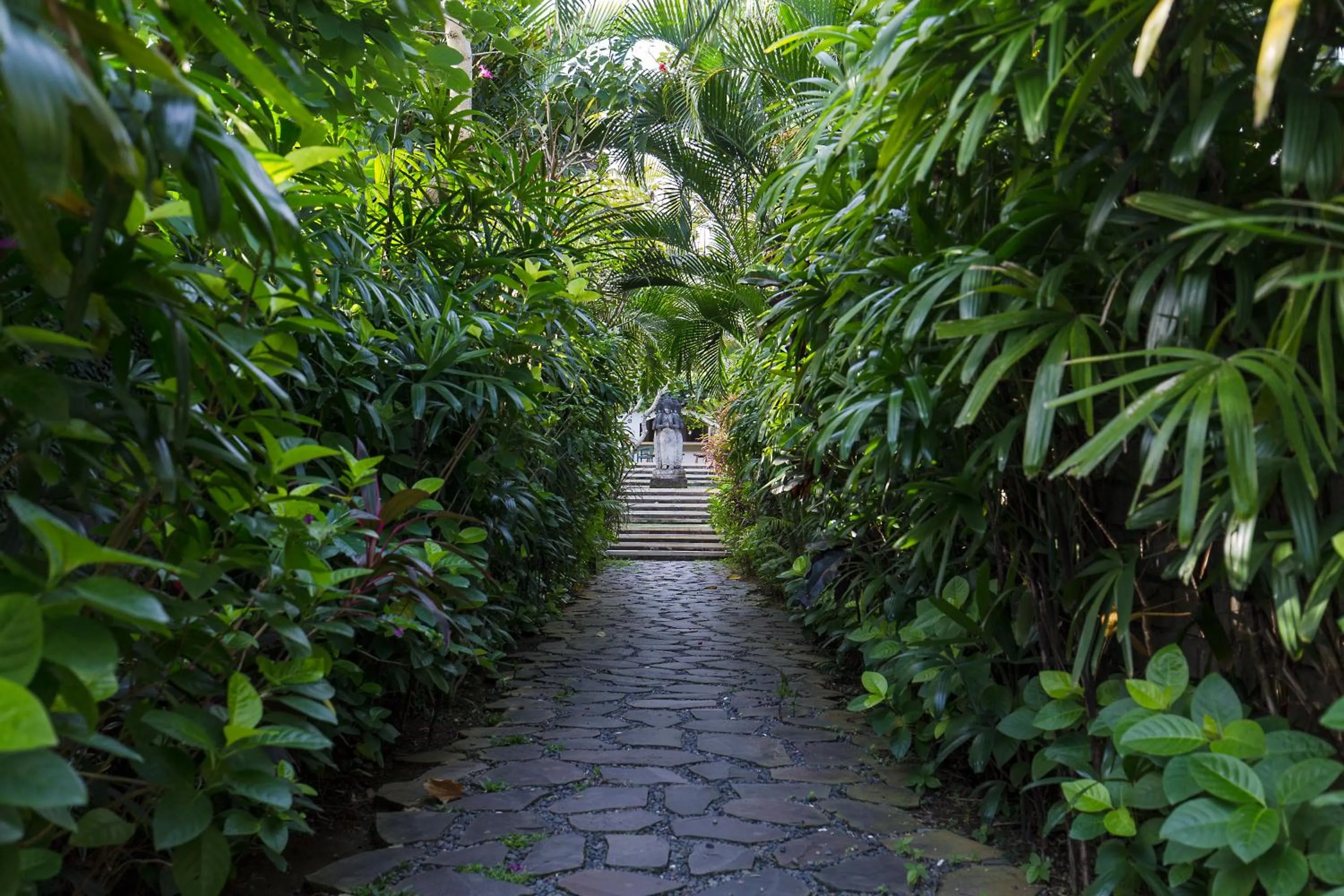 Natural landscape in Villa Canggu by Plataran