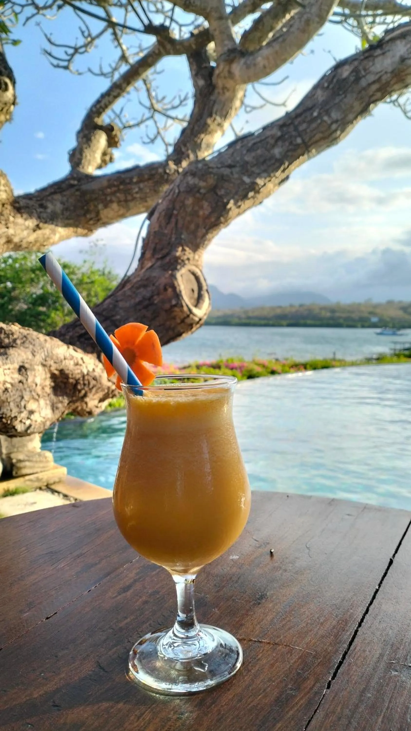 Restaurant/places to eat in Naya Gawana Resort & Spa