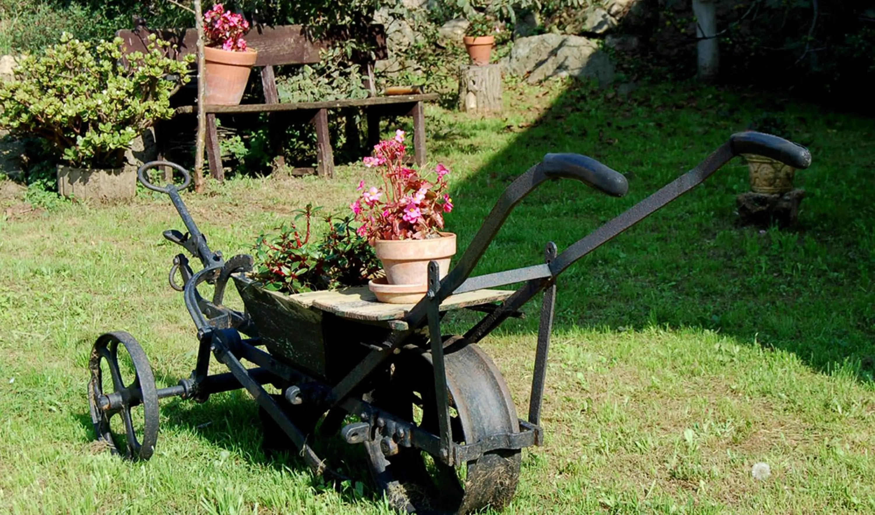 Garden in Posada Mediavia