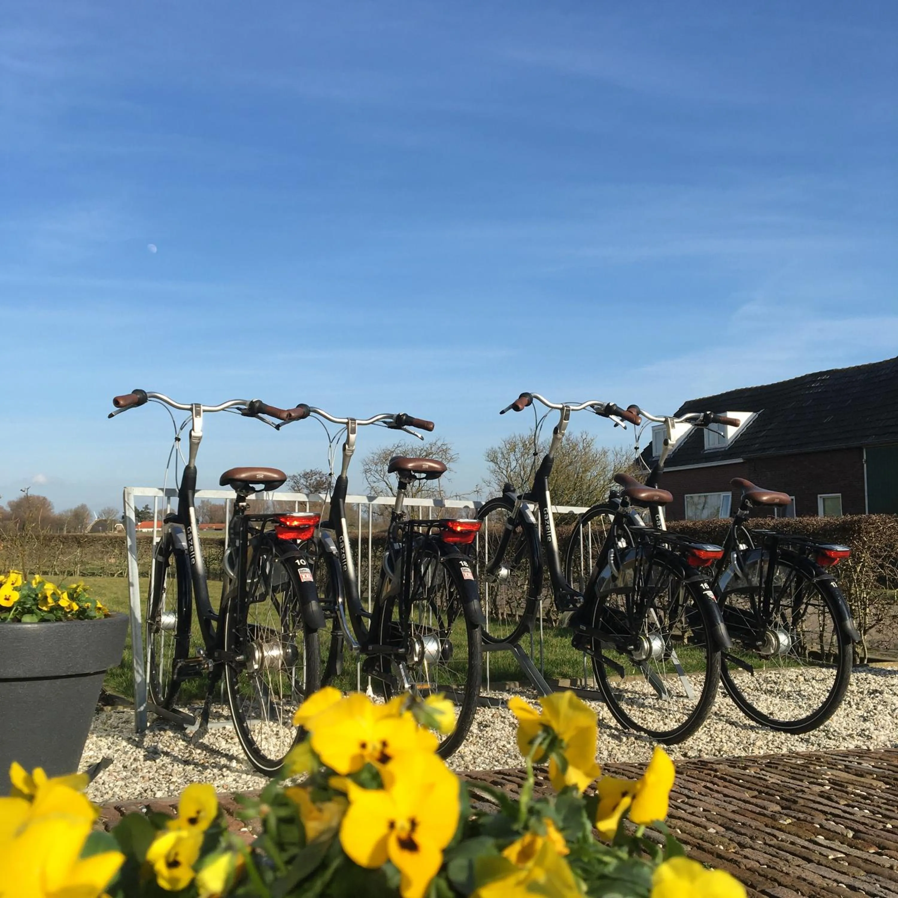 Cycling in Hoevehotel 'Hof Christina'