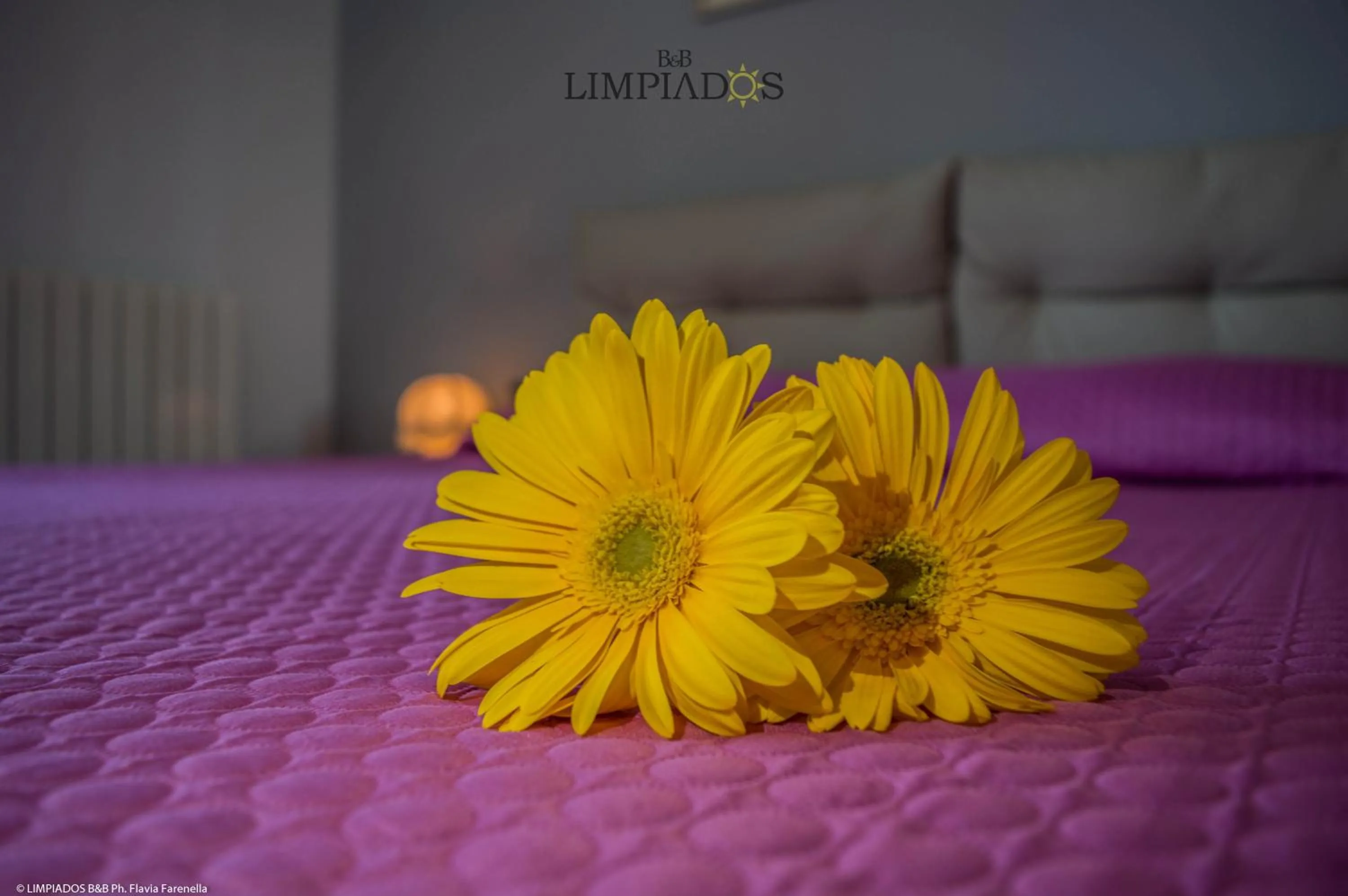 Bed in Limpiados Bed & Breakfast