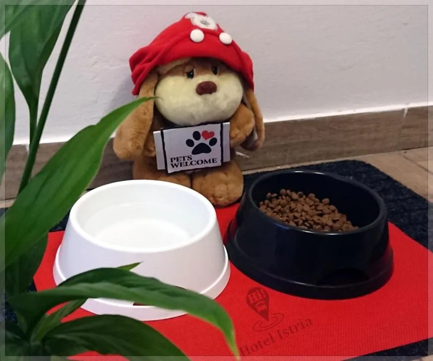 Food and drinks in Hotel Istria