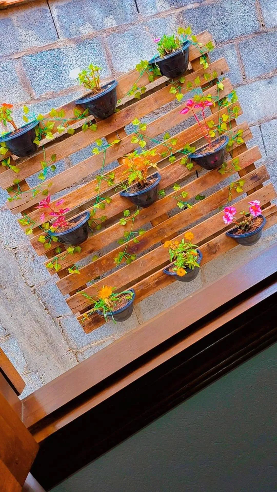 Chalés e suítes lima