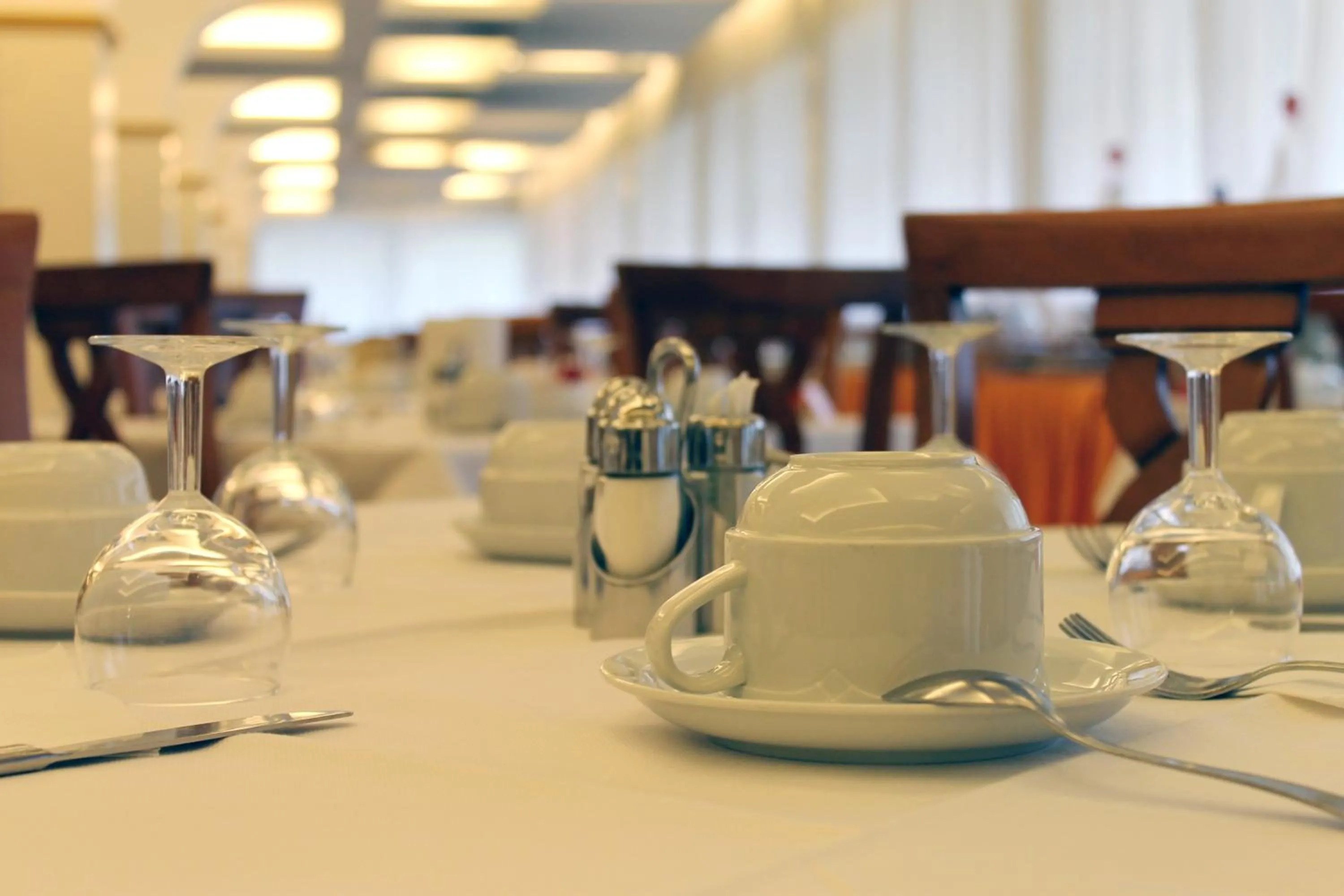 Restaurant/places to eat in Hotel Albatros