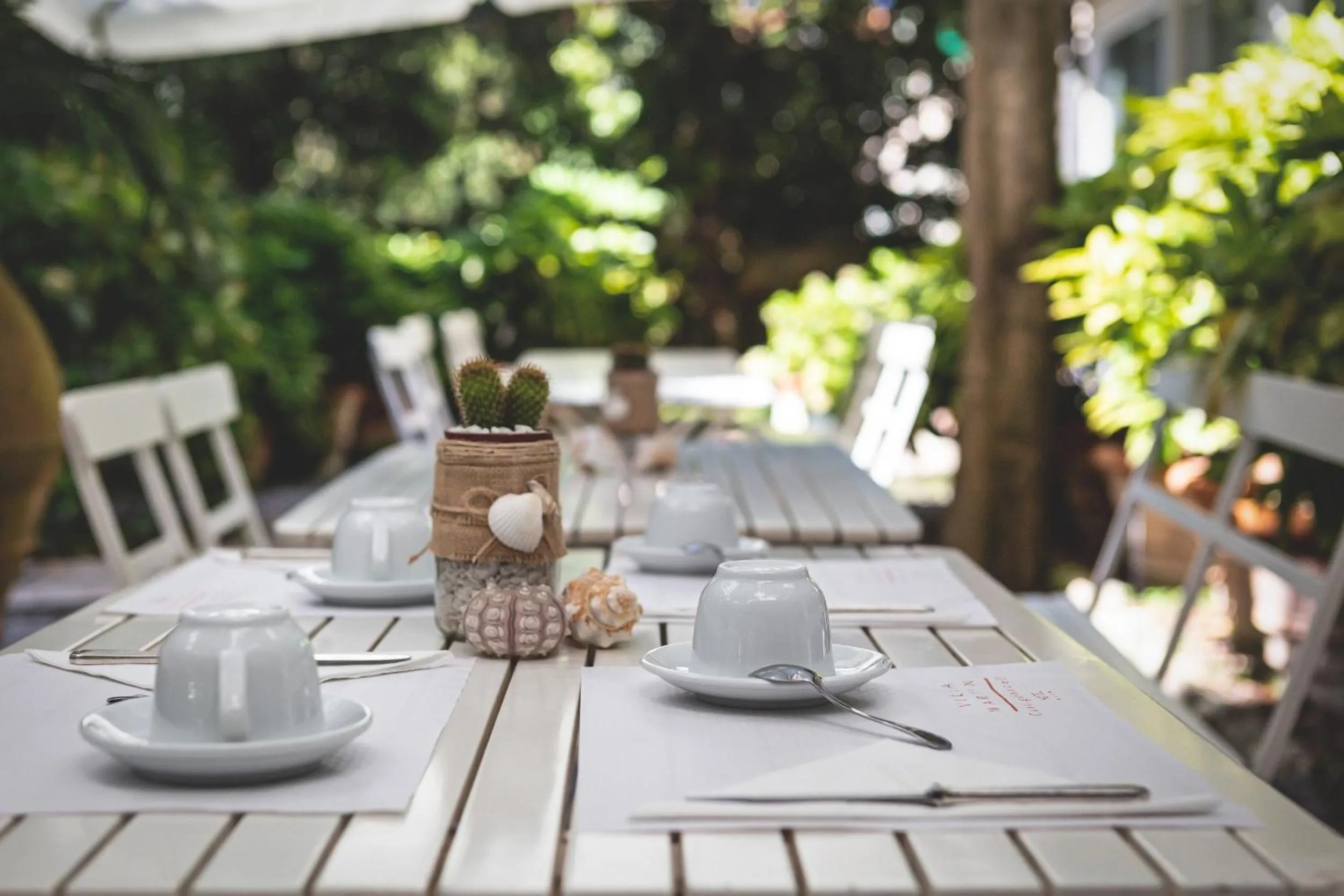 Garden in Villa Martini