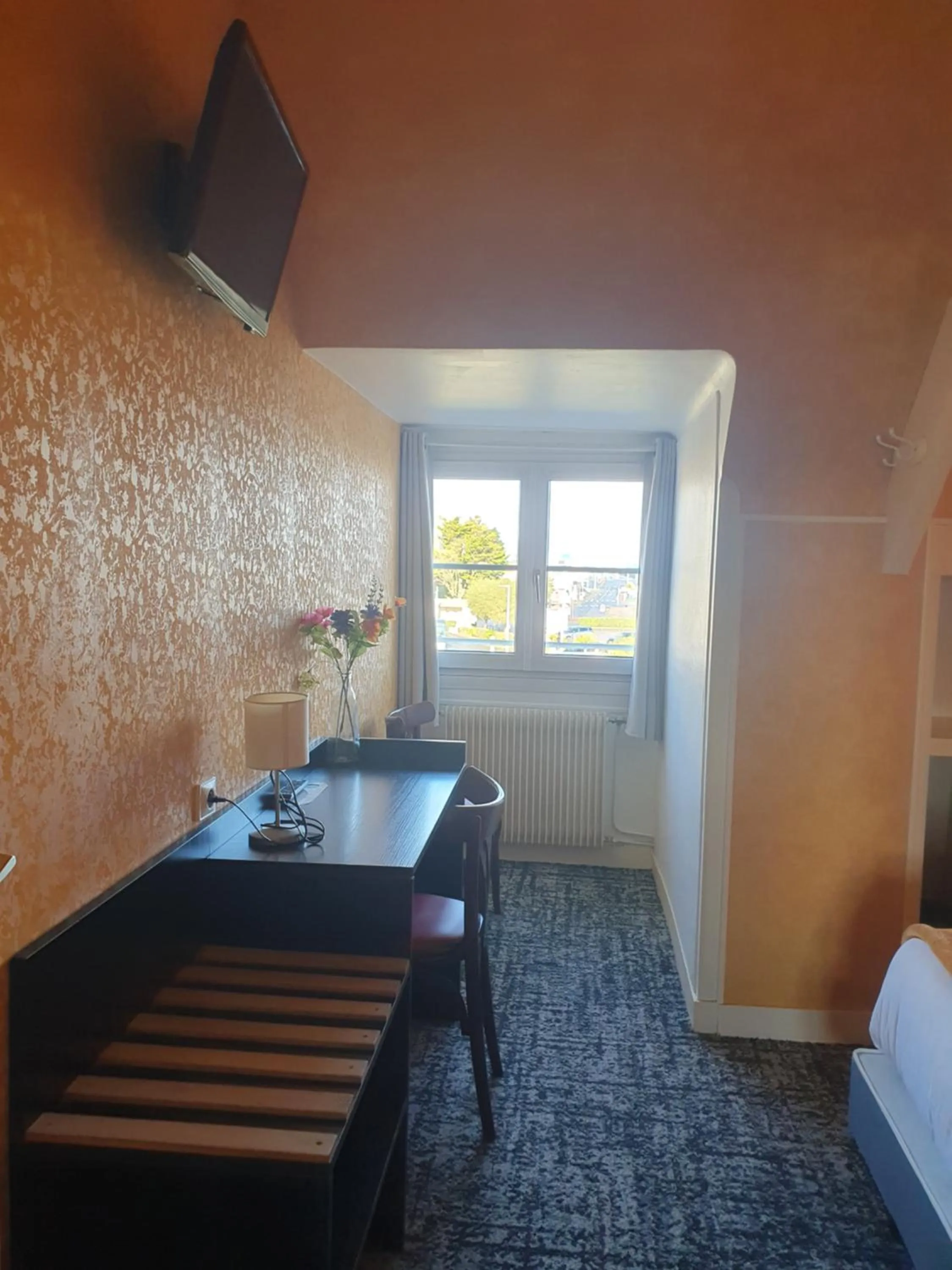 TV and multimedia in Hôtel Le Phare