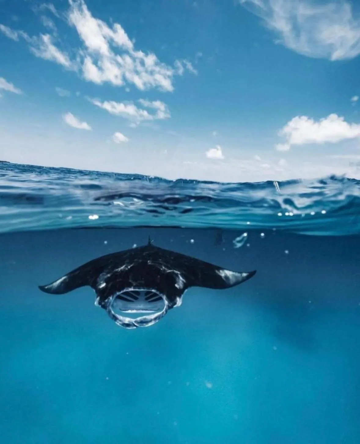 Natural landscape in Beach Veli
