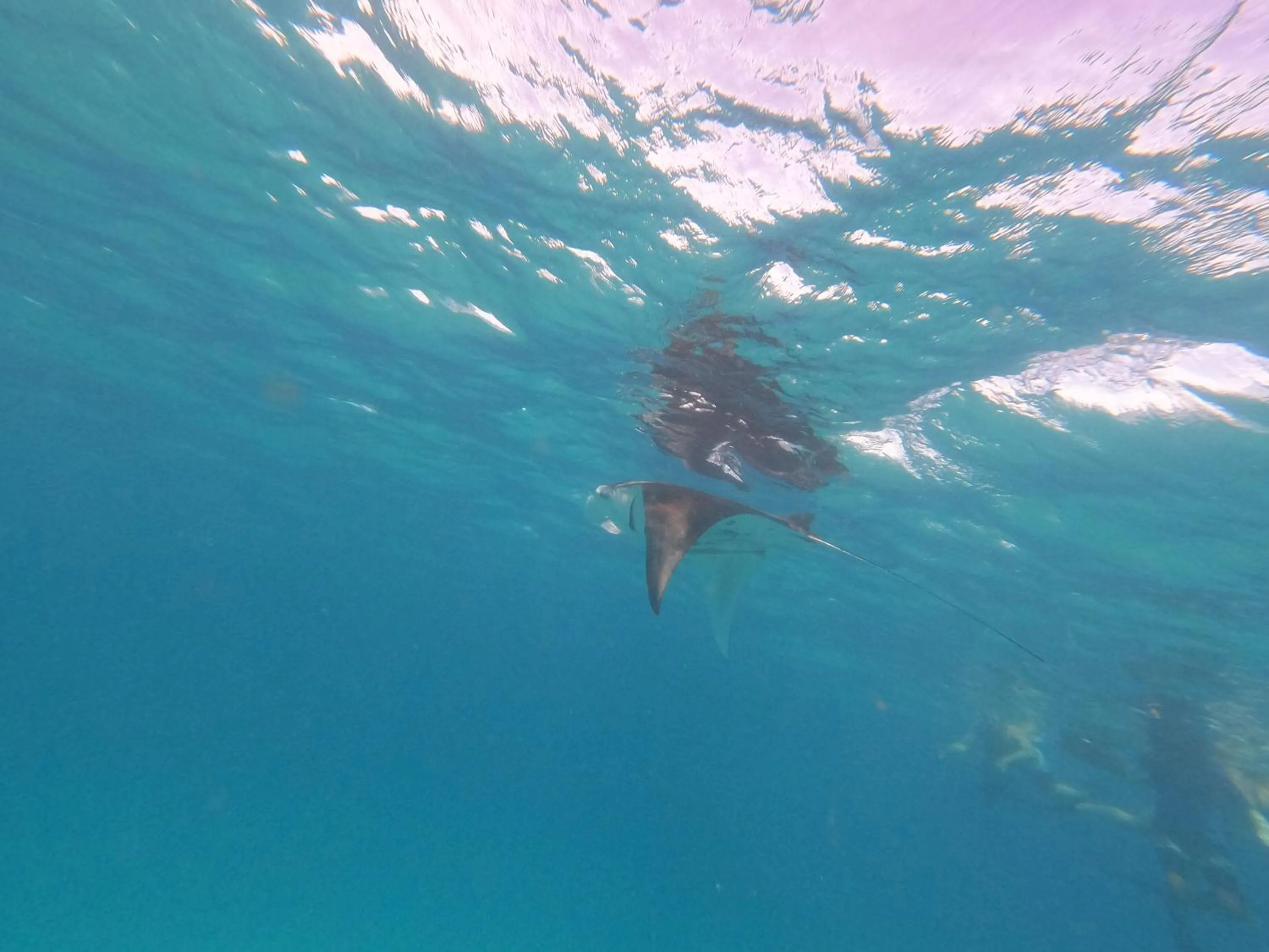 Activities in Beach Veli