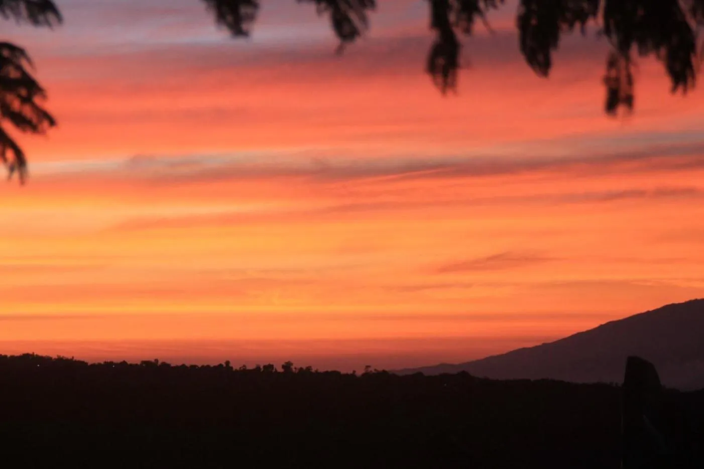Natural landscape in Joglo Exotico