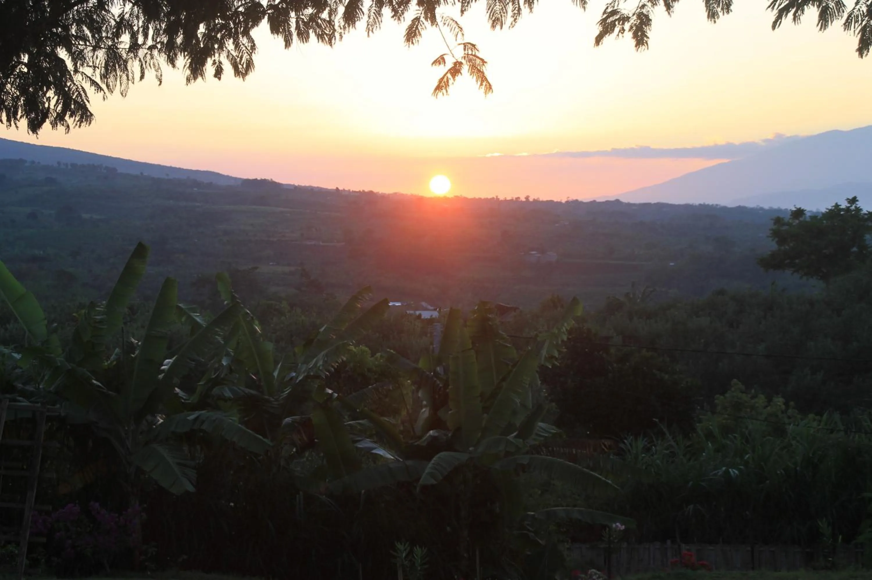 View (from property/room) in Joglo Exotico