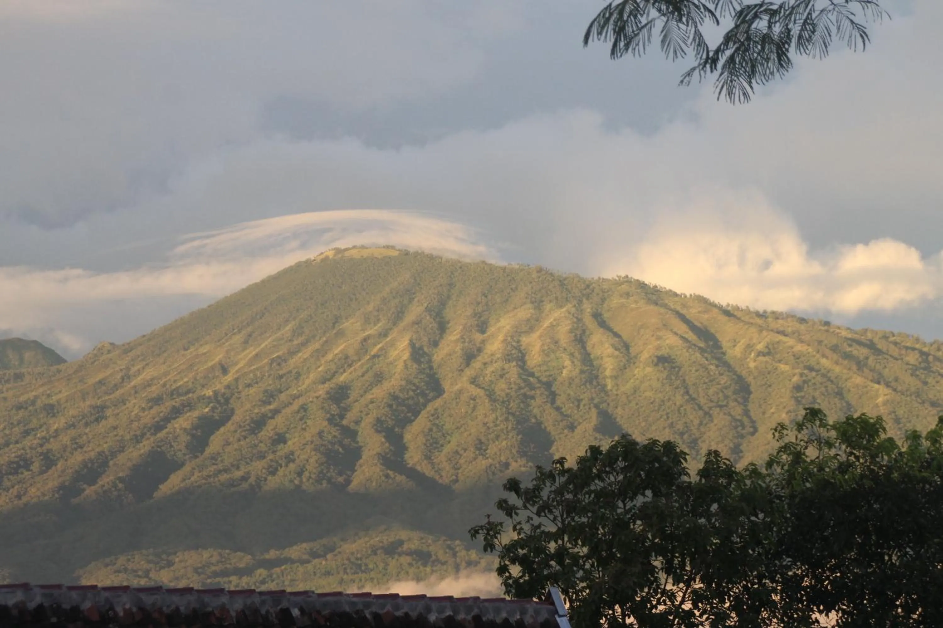 View (from property/room) in Joglo Exotico