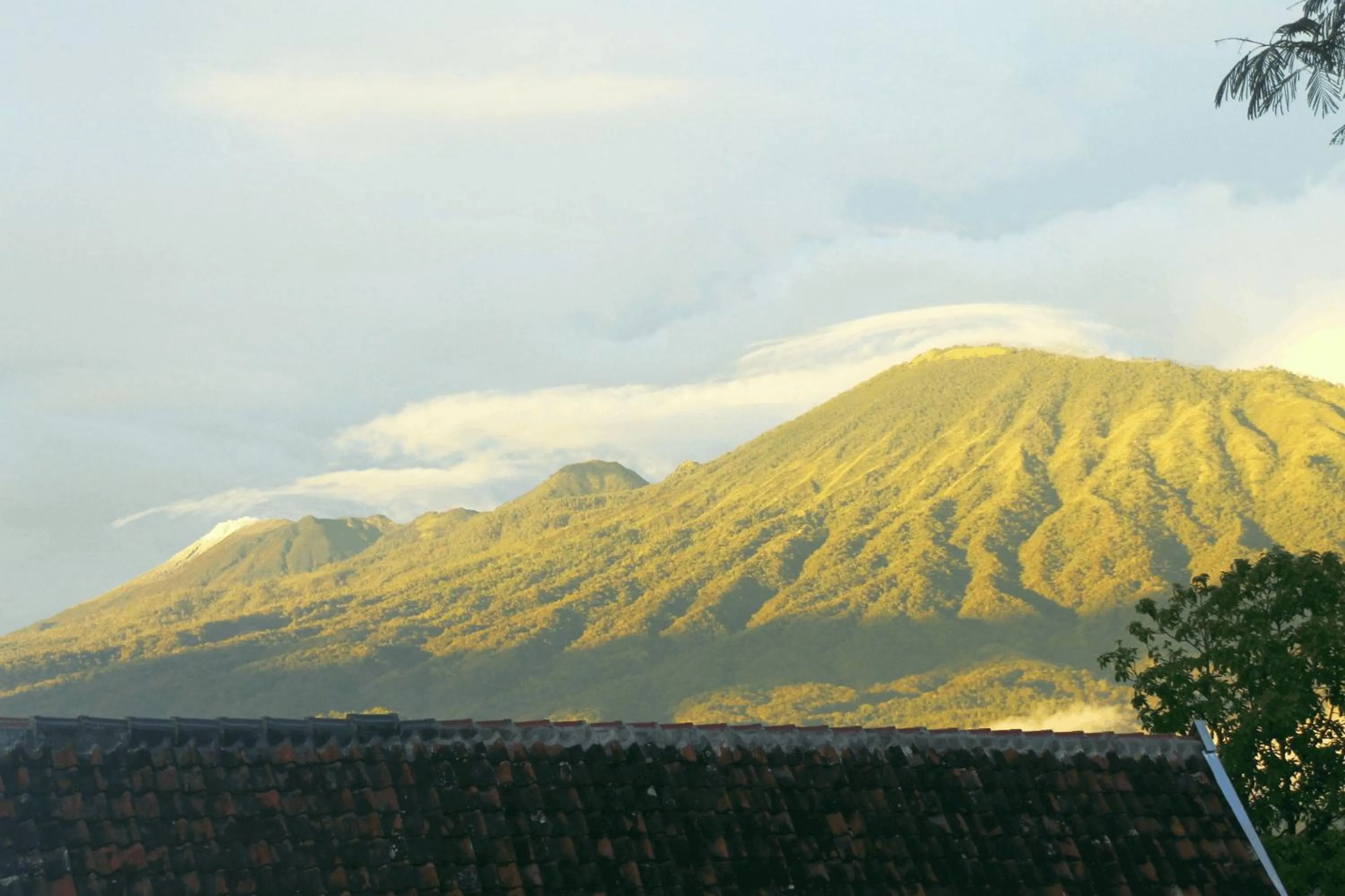 Natural landscape in Joglo Exotico