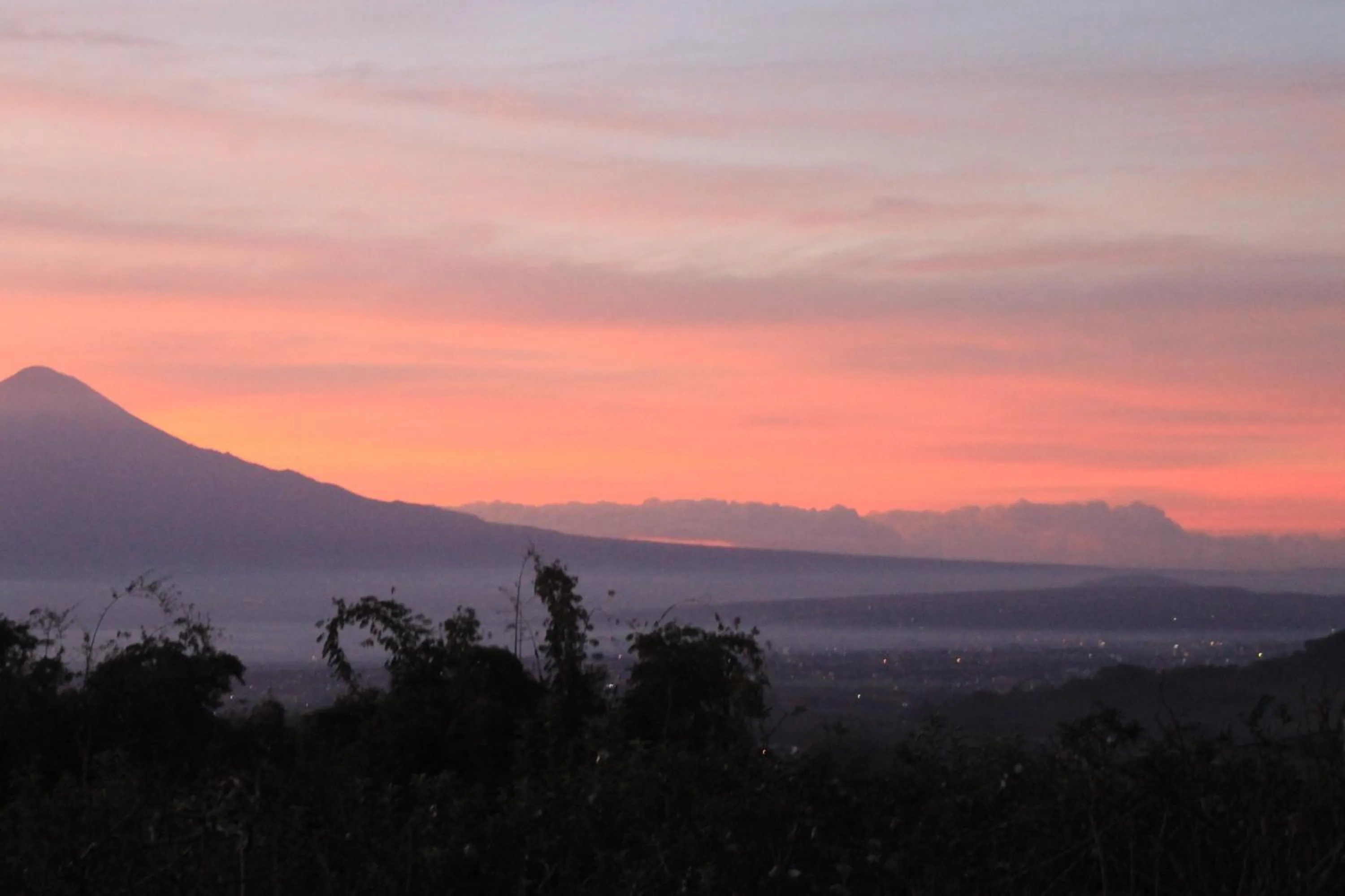 Natural landscape in Joglo Exotico