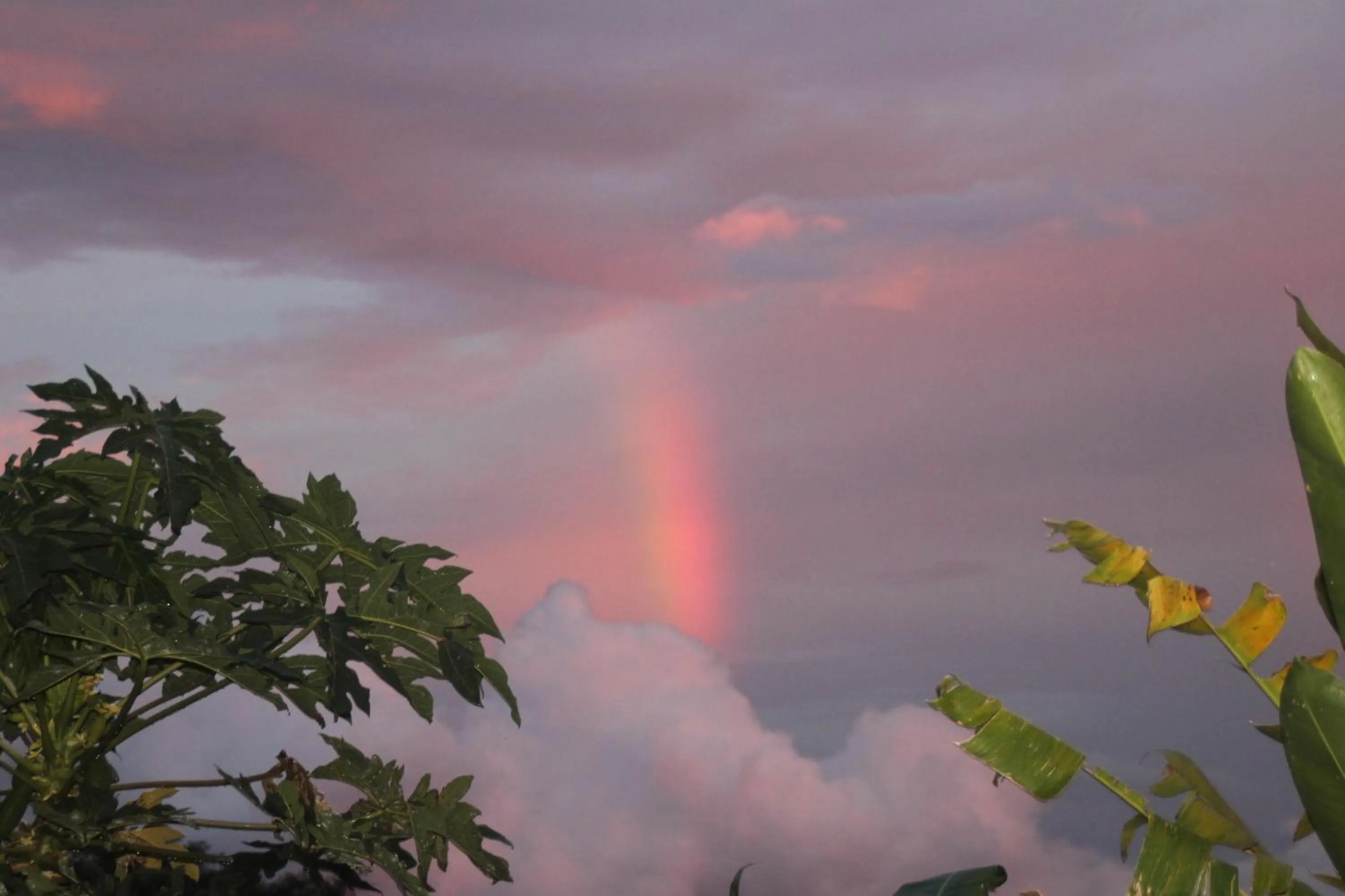 Sunset in Joglo Exotico