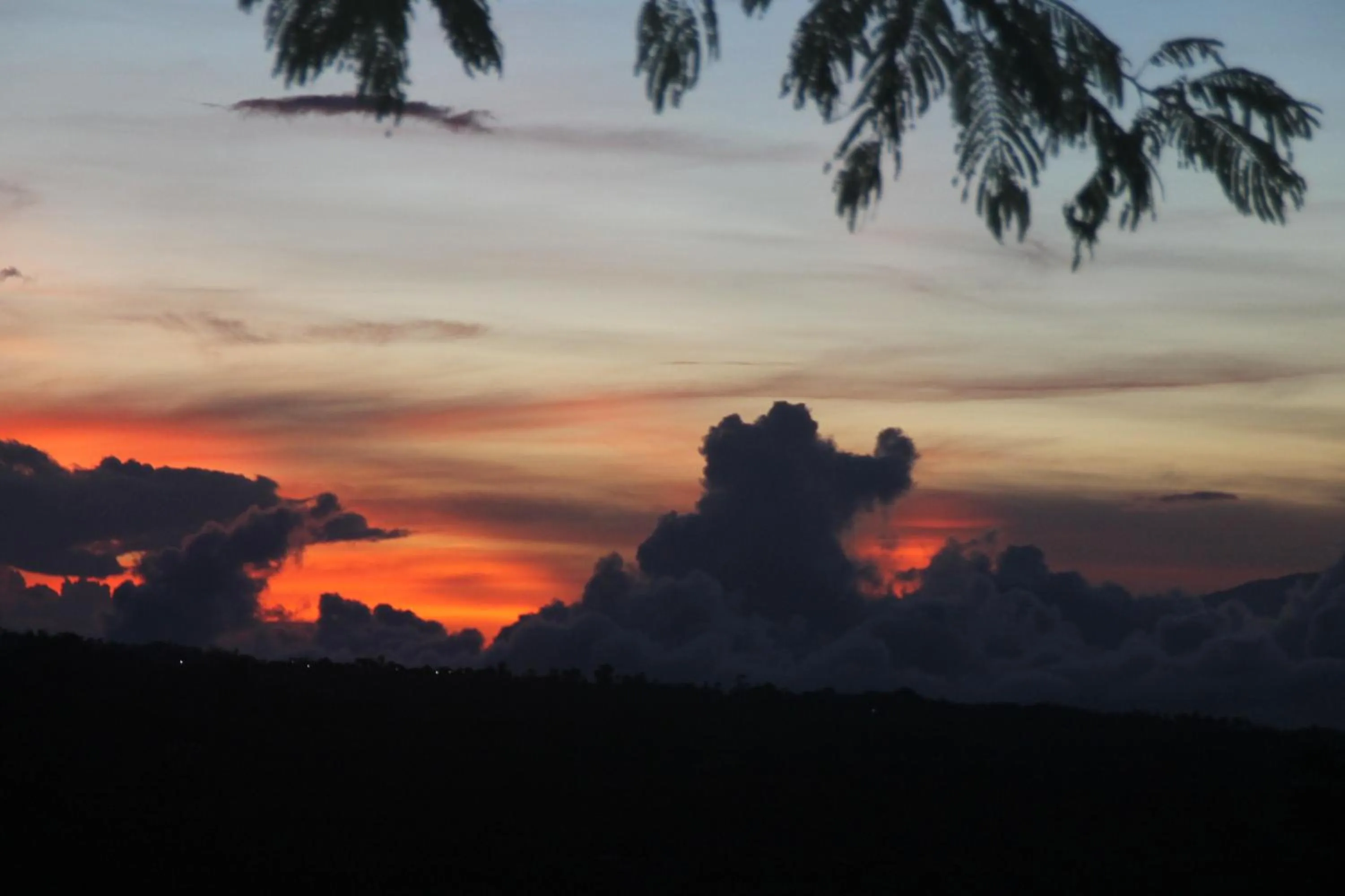 View (from property/room) in Joglo Exotico