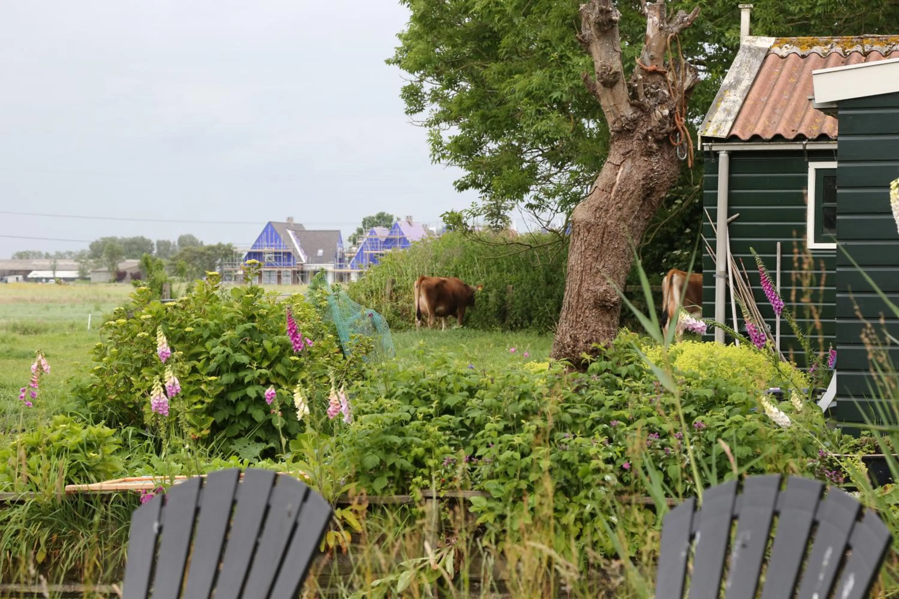 View (from property/room) in Bed and Stay Amsterdam