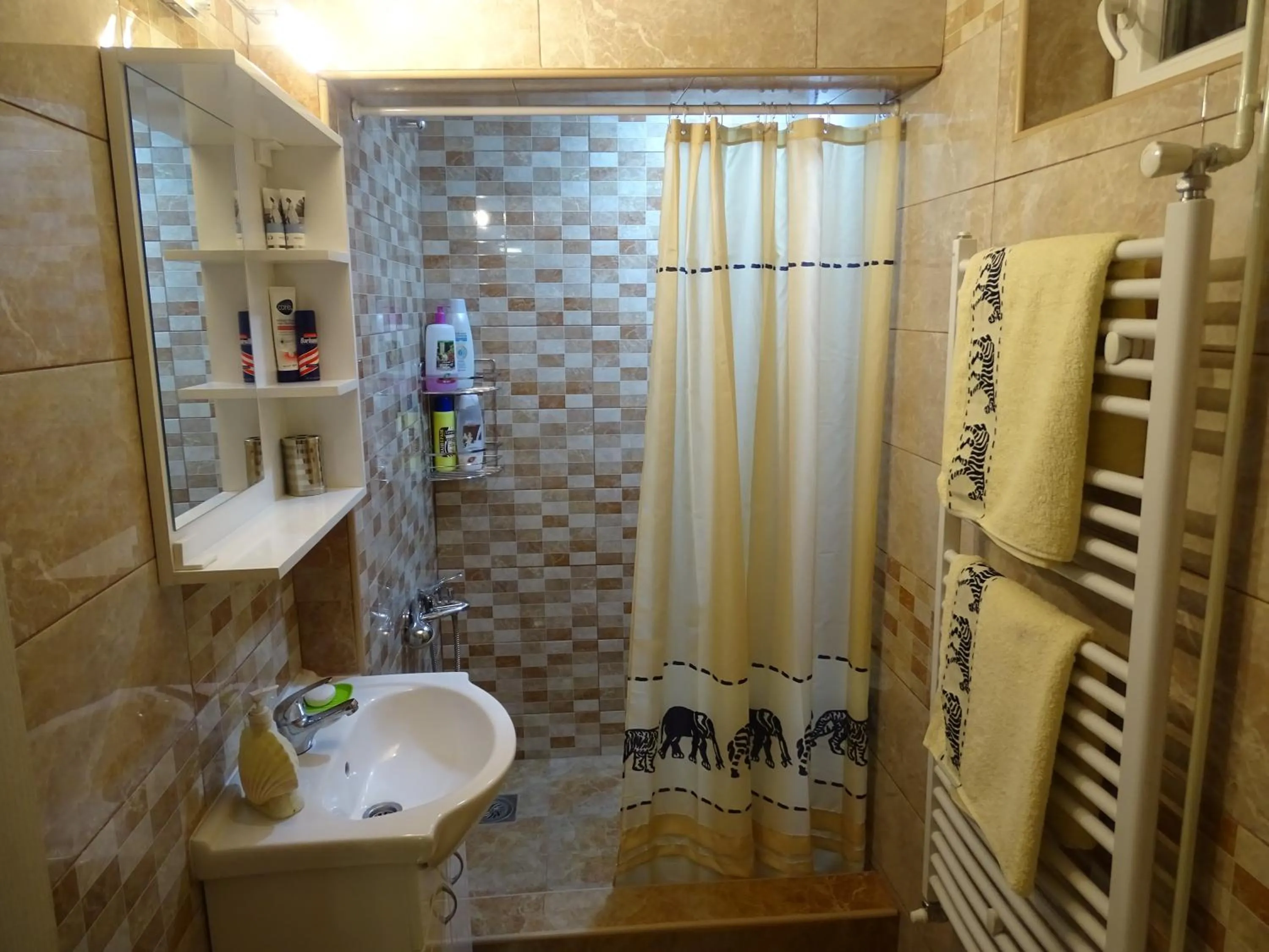 Bathroom in Meda Apartment