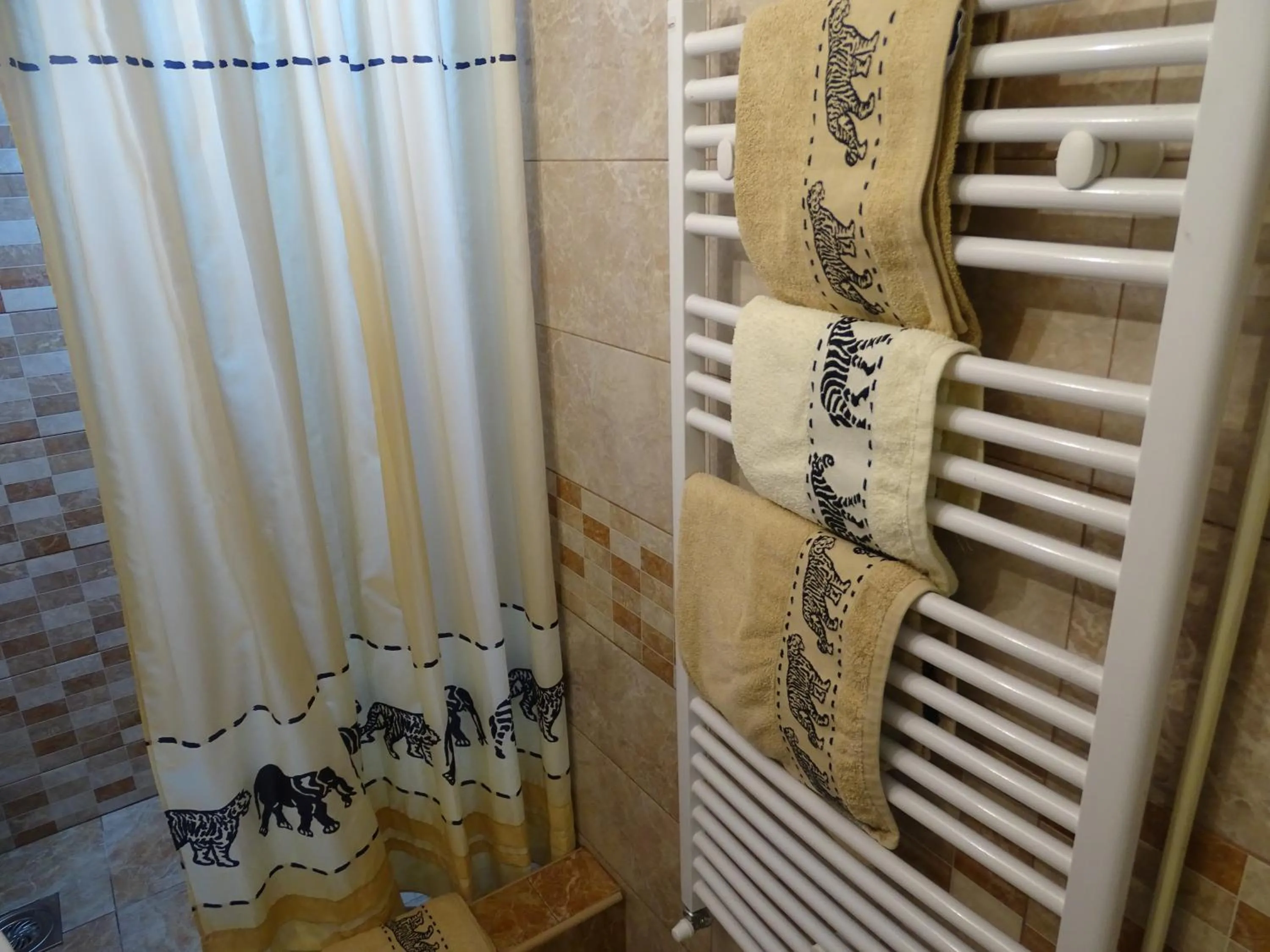Bathroom in Meda Apartment