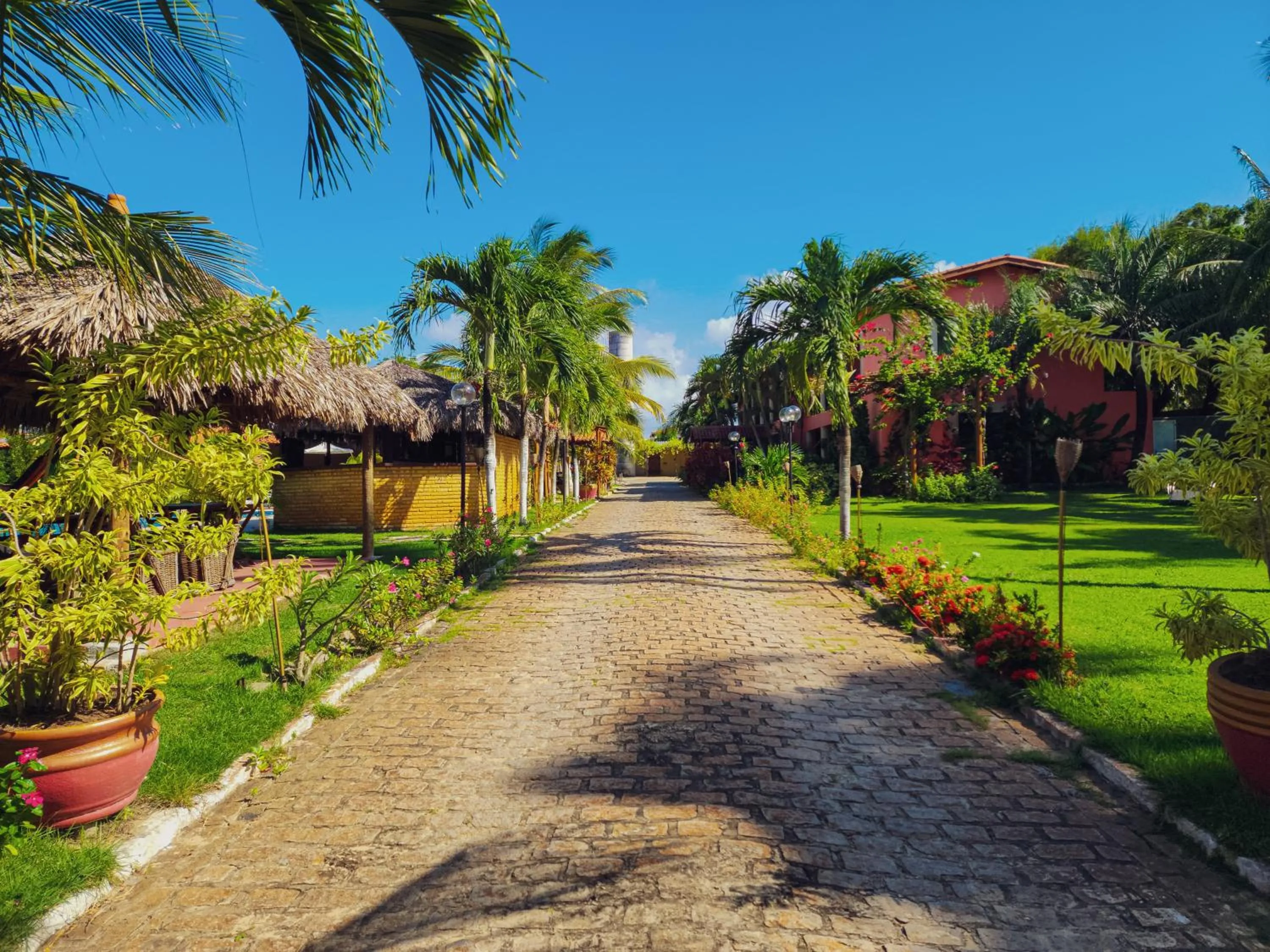 Spring in Pousada Brasil Cumbuco