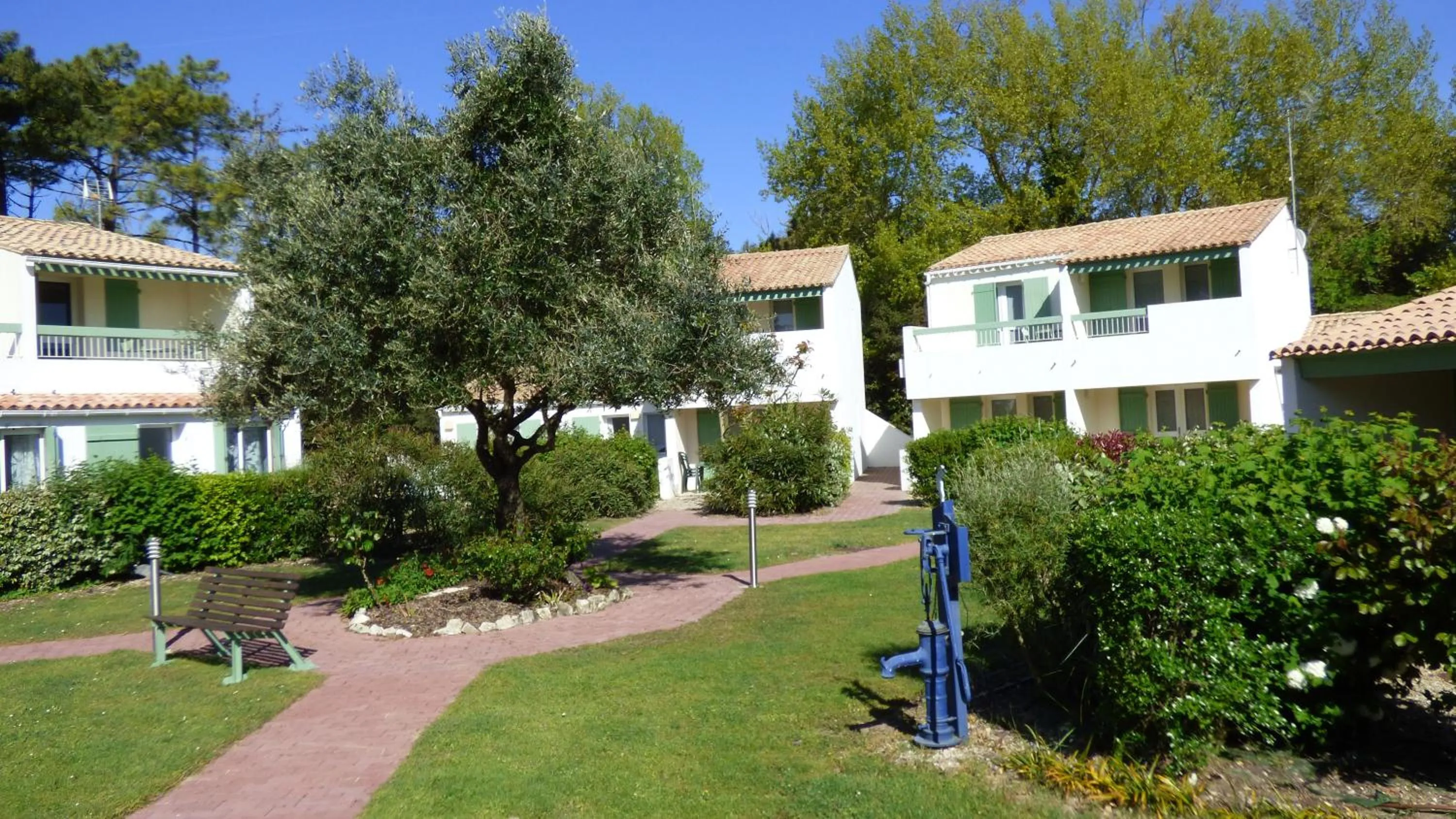Garden in Le Parasol