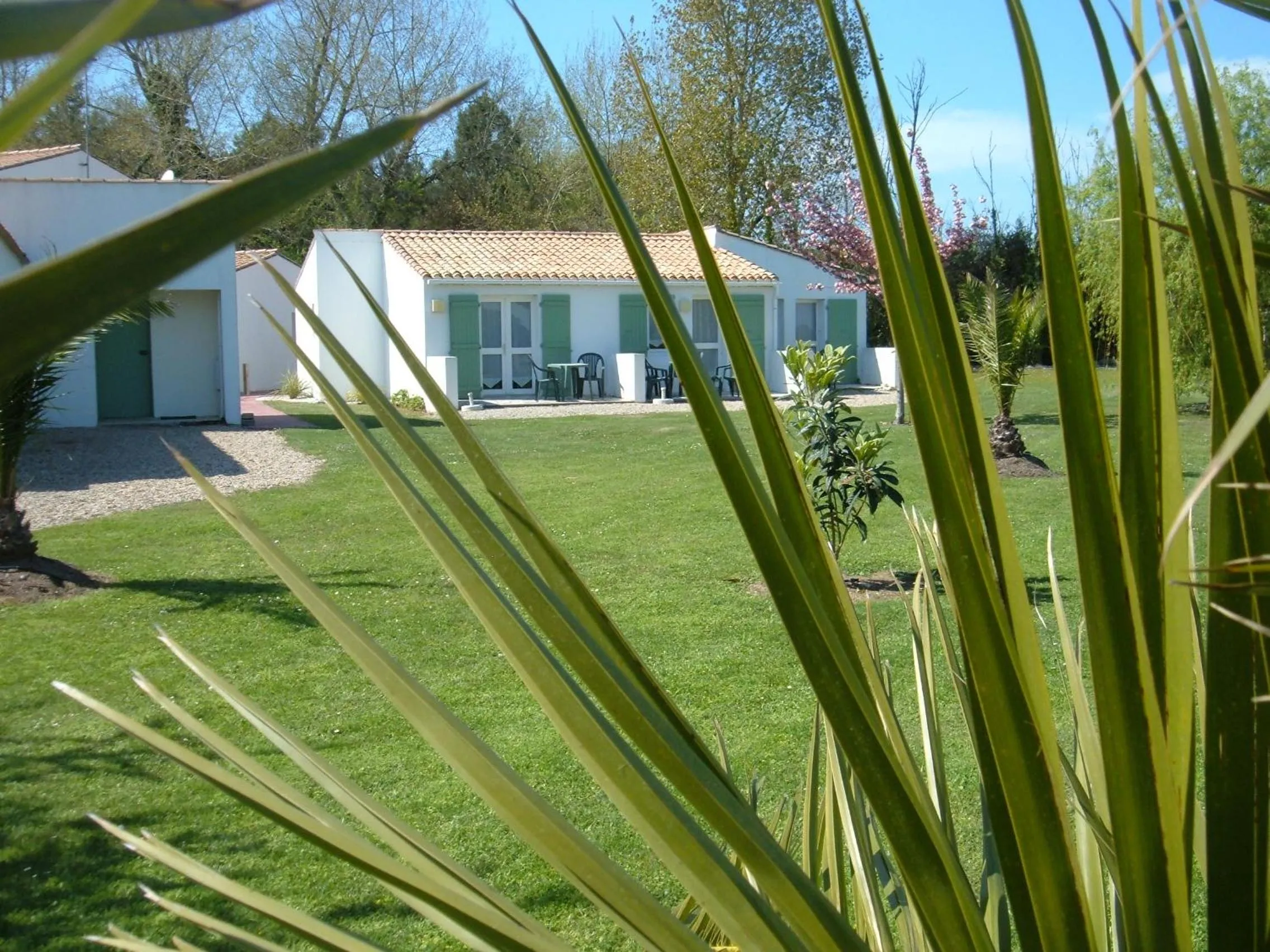Garden in Le Parasol