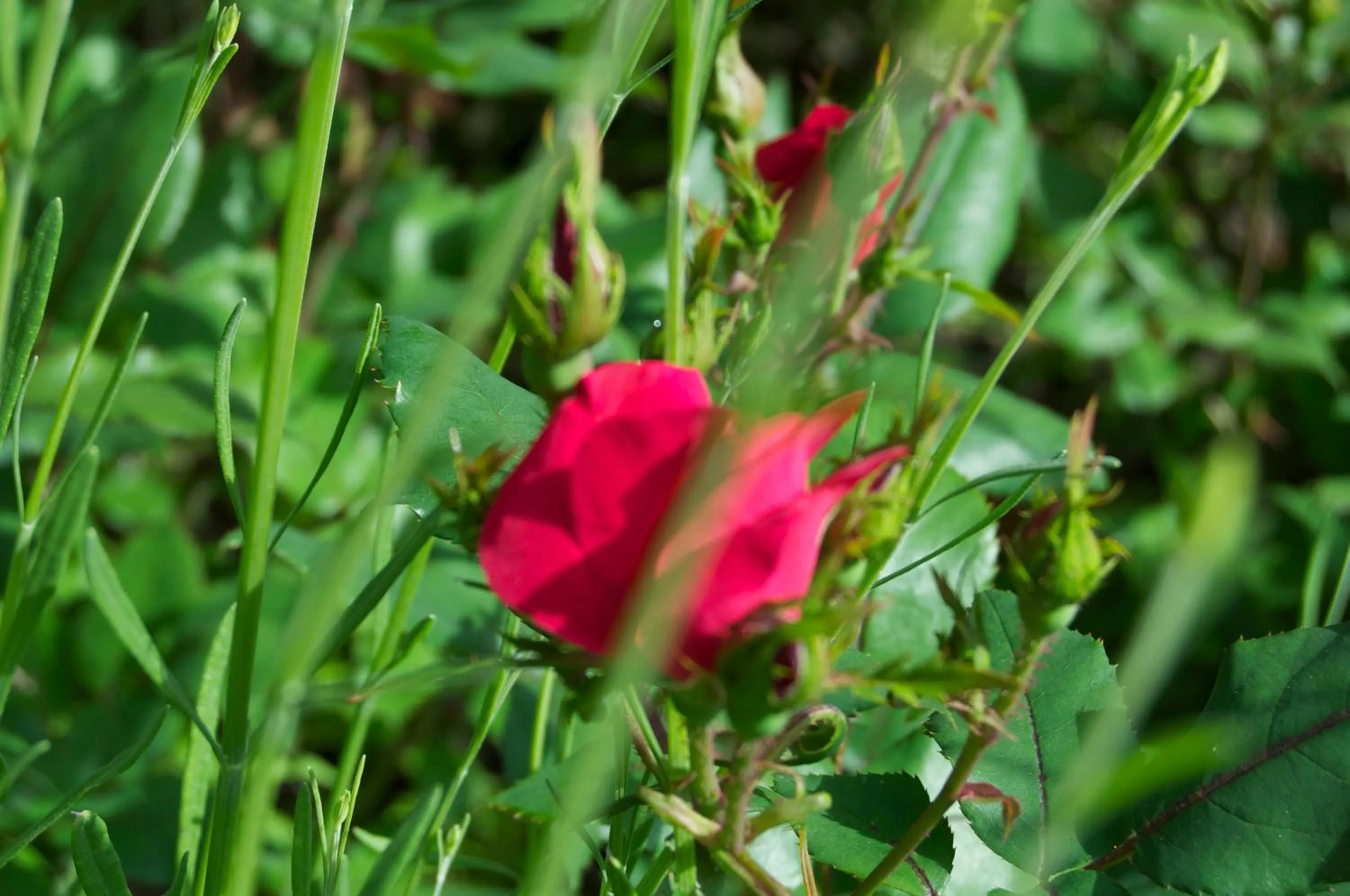 Other in Hotel Schönbrunn