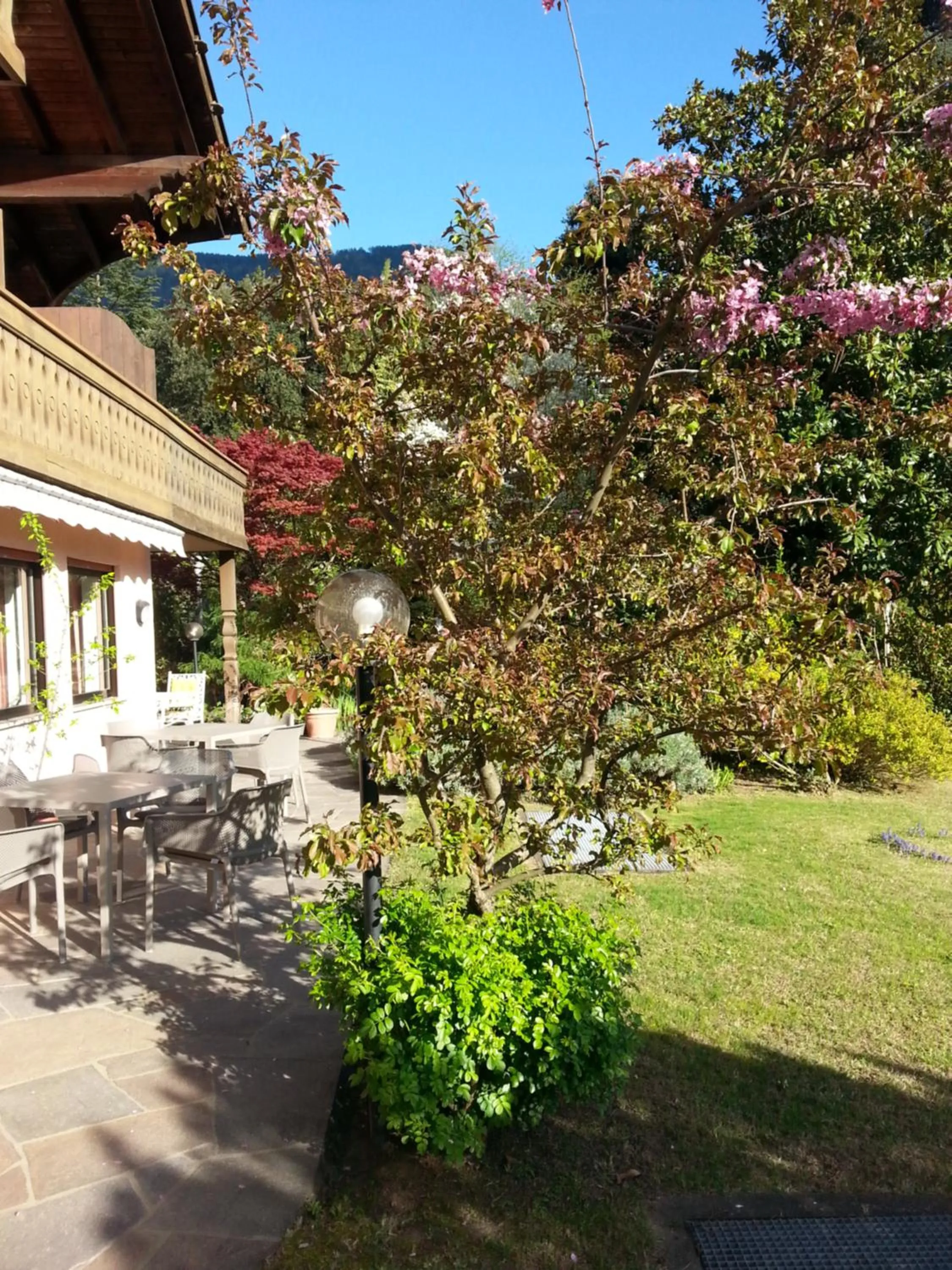 Property building in Hotel Schönbrunn