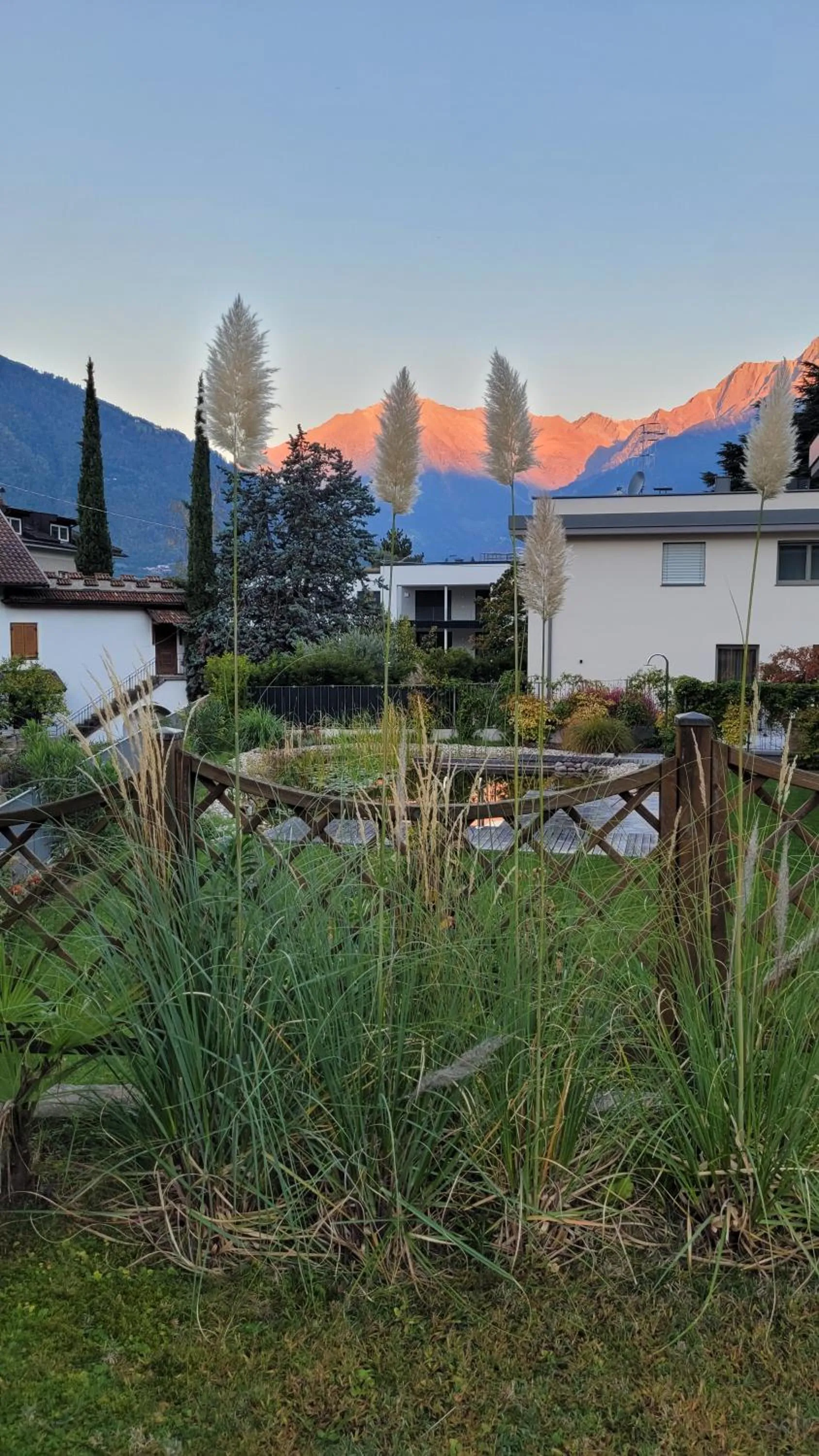 Garden in Hotel Schönbrunn