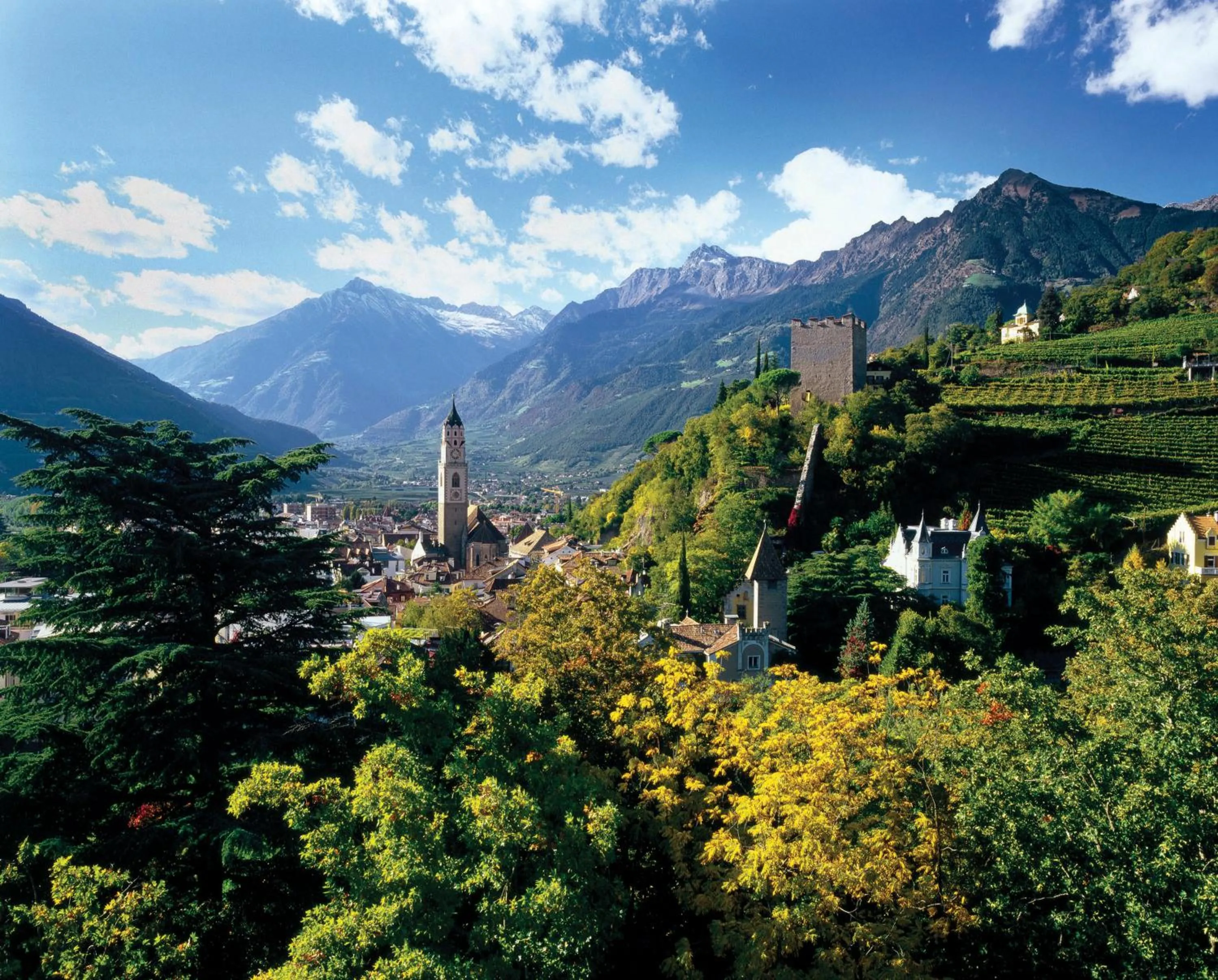 Restaurant/places to eat in Hotel Schönbrunn