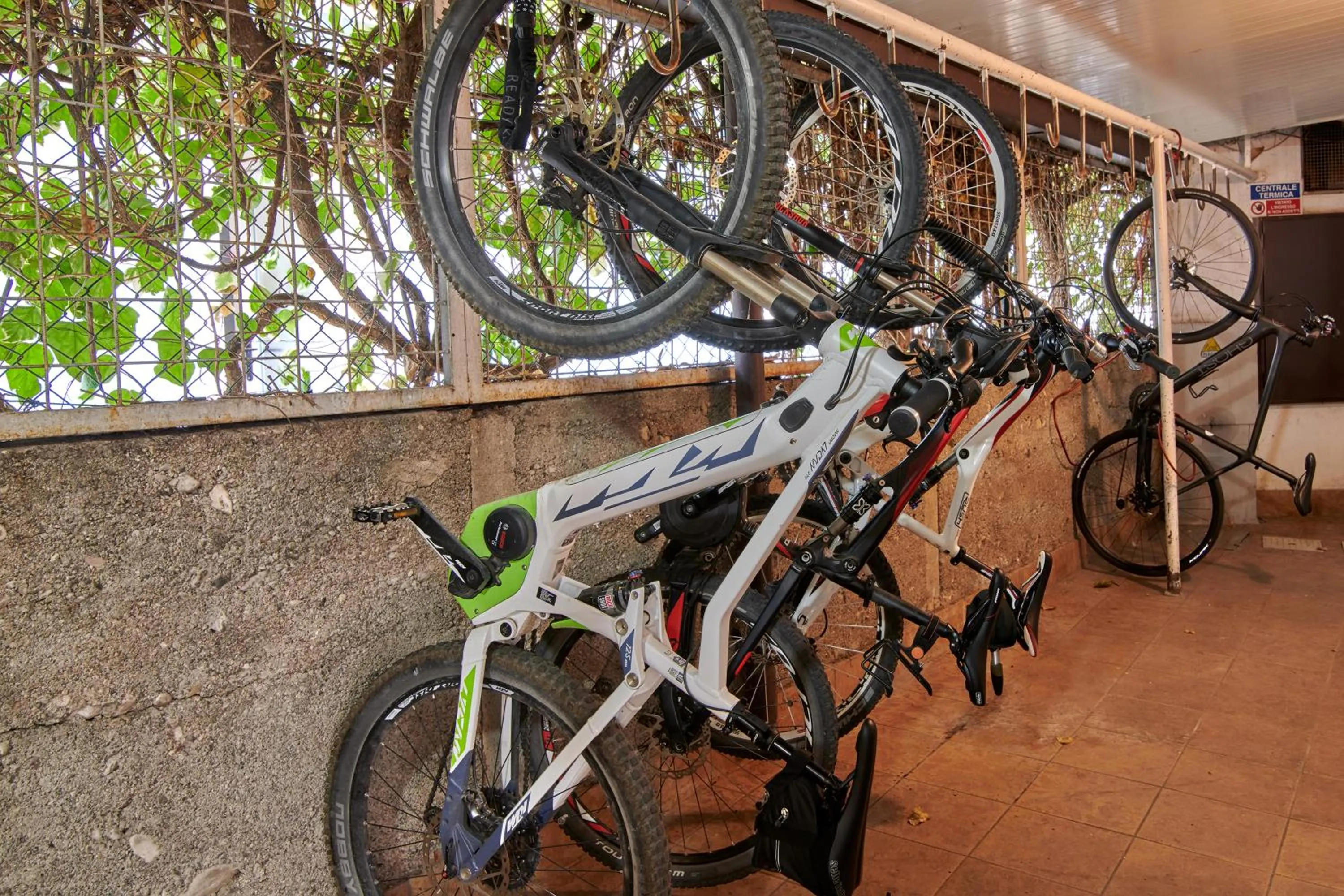 Cycling in Hotel Lido Blu - Surf & Bike