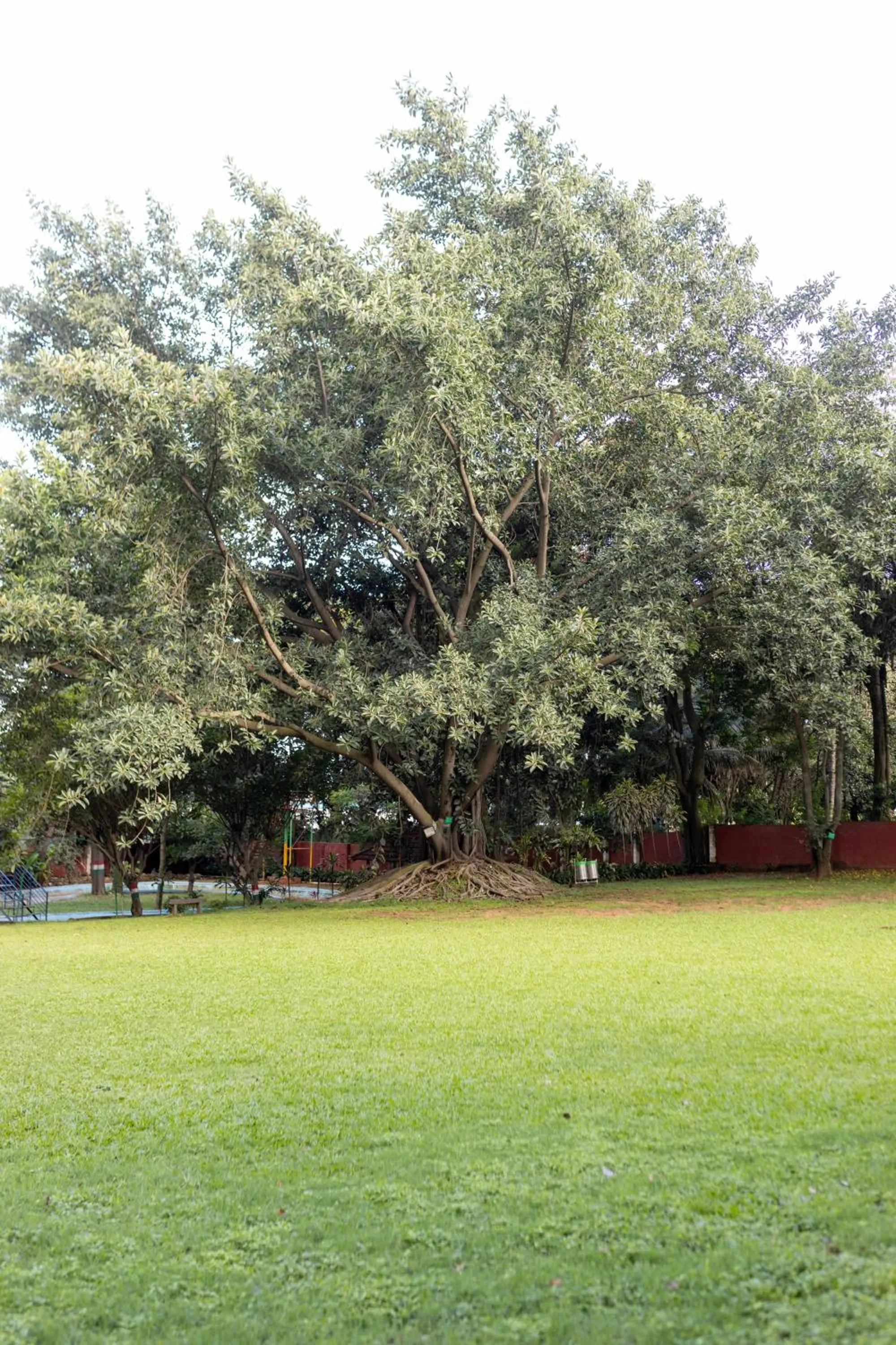 Ramee Guestline Hotel Bangalore