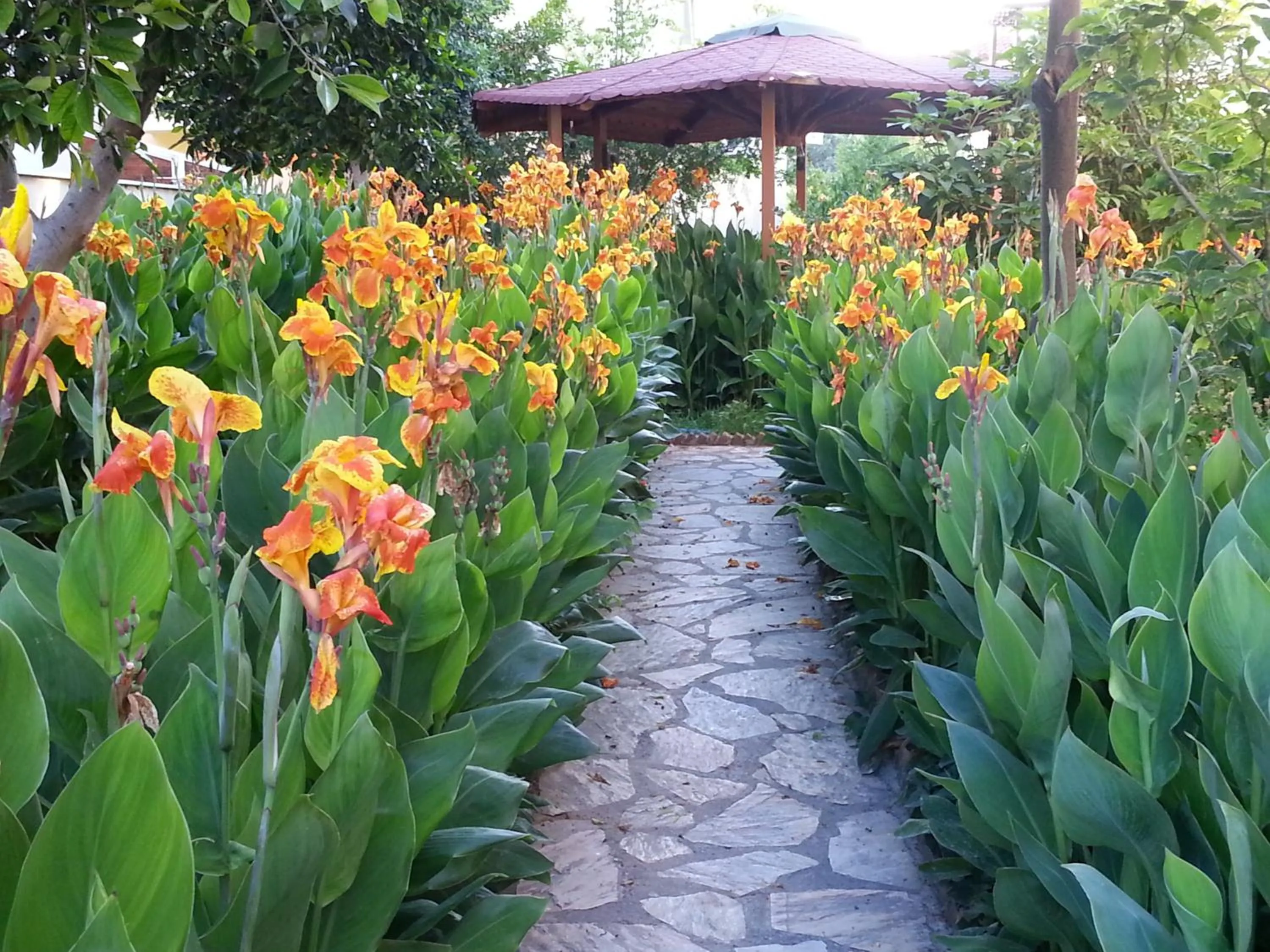 Garden in Konak Su Hotel