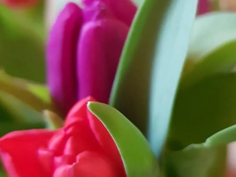 View (from property/room) in Domaine De La Petite Tour