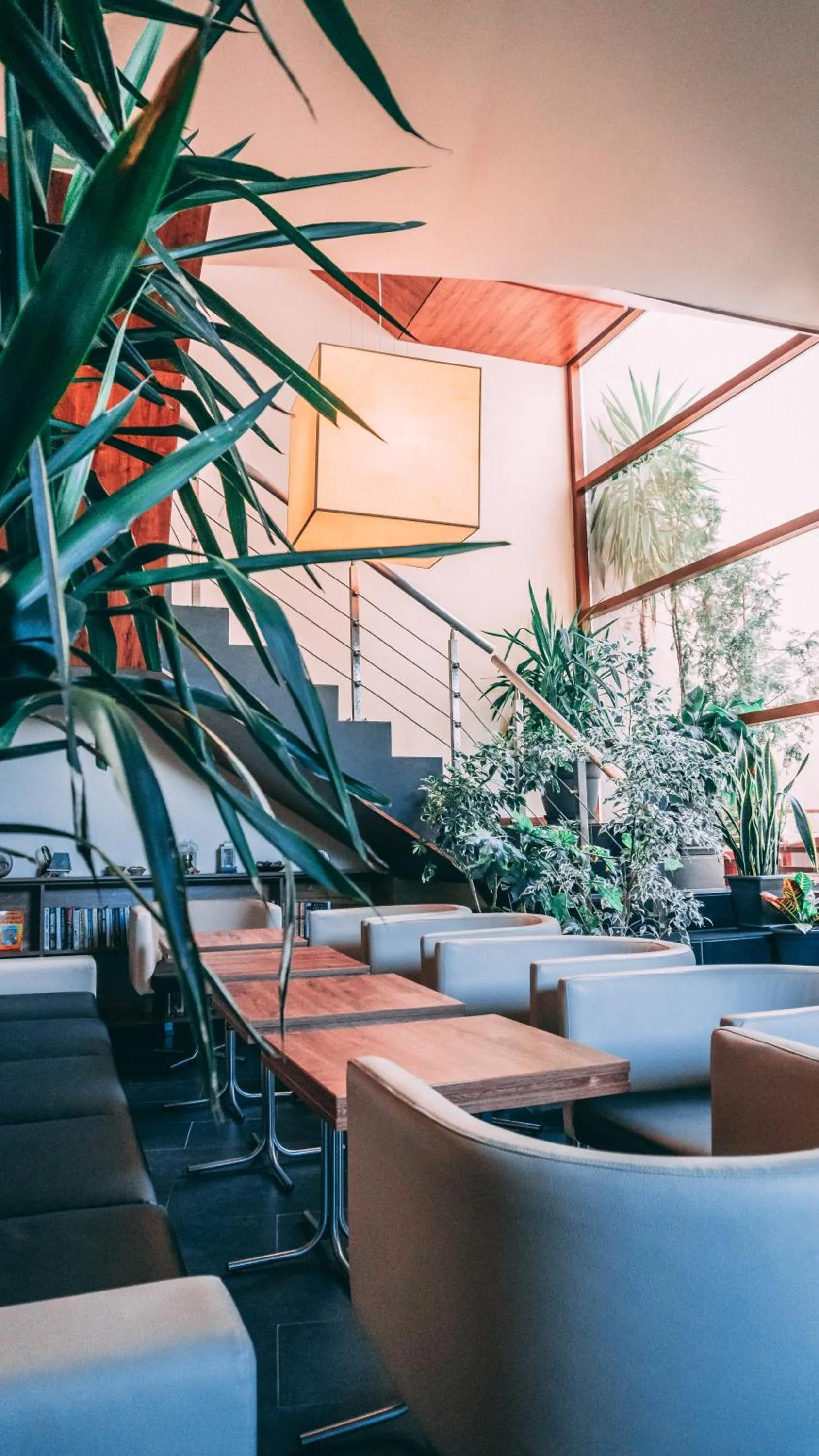 Lobby or reception in Design Hotel Logatero