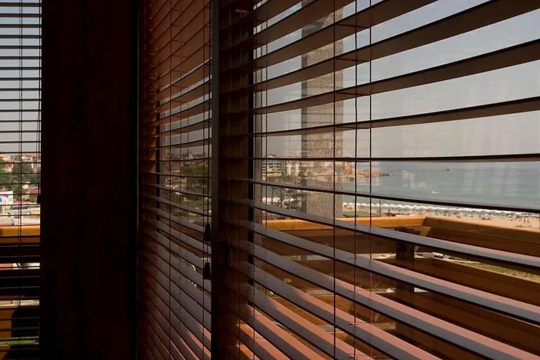 View (from property/room) in Design Hotel Logatero