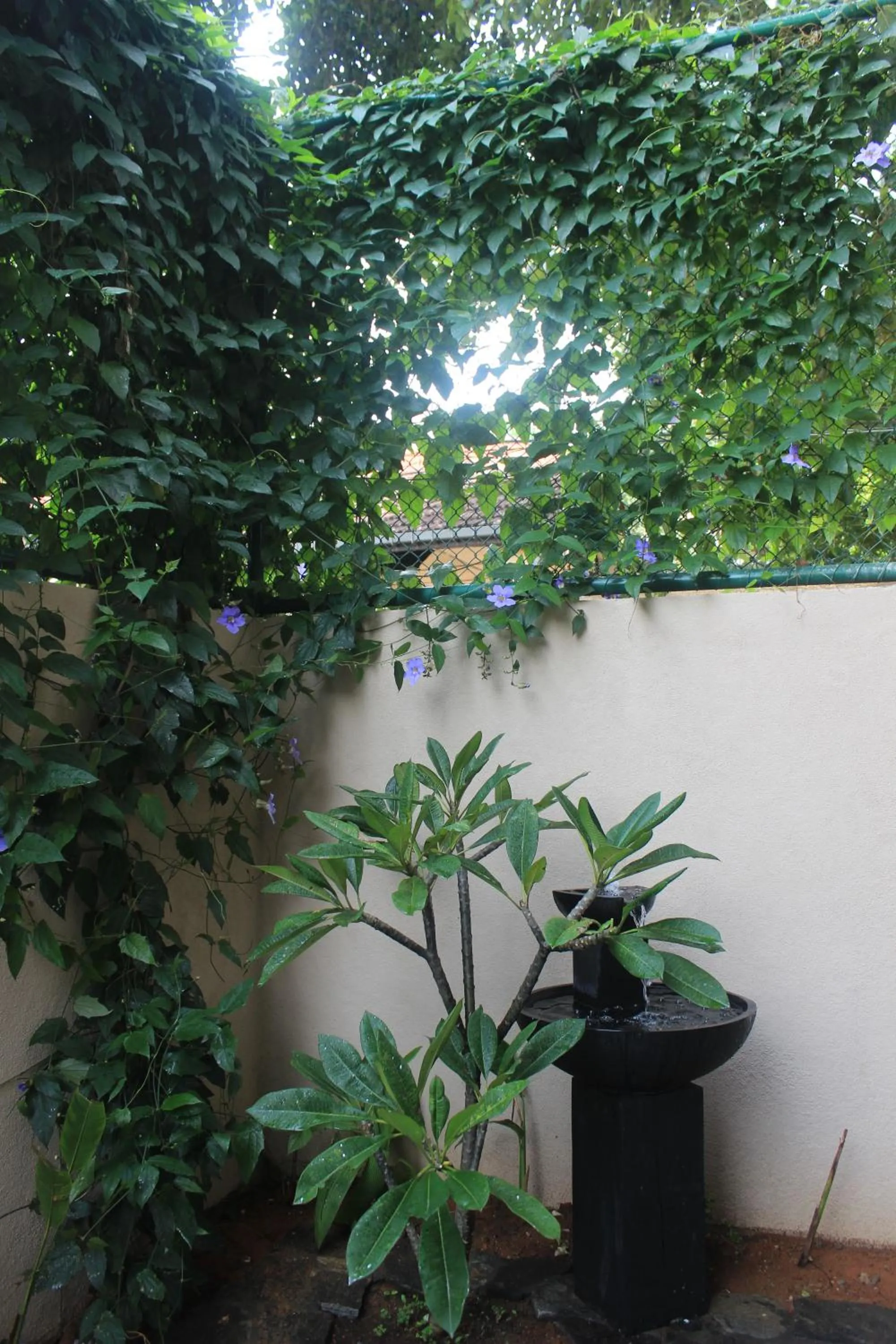 Garden in Atelier
